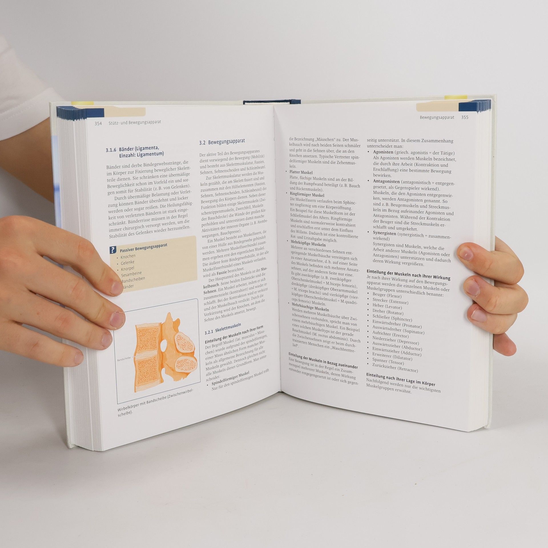 Doris Quinten Das Lehrbuch für Tiermedizinische Fachangestellte