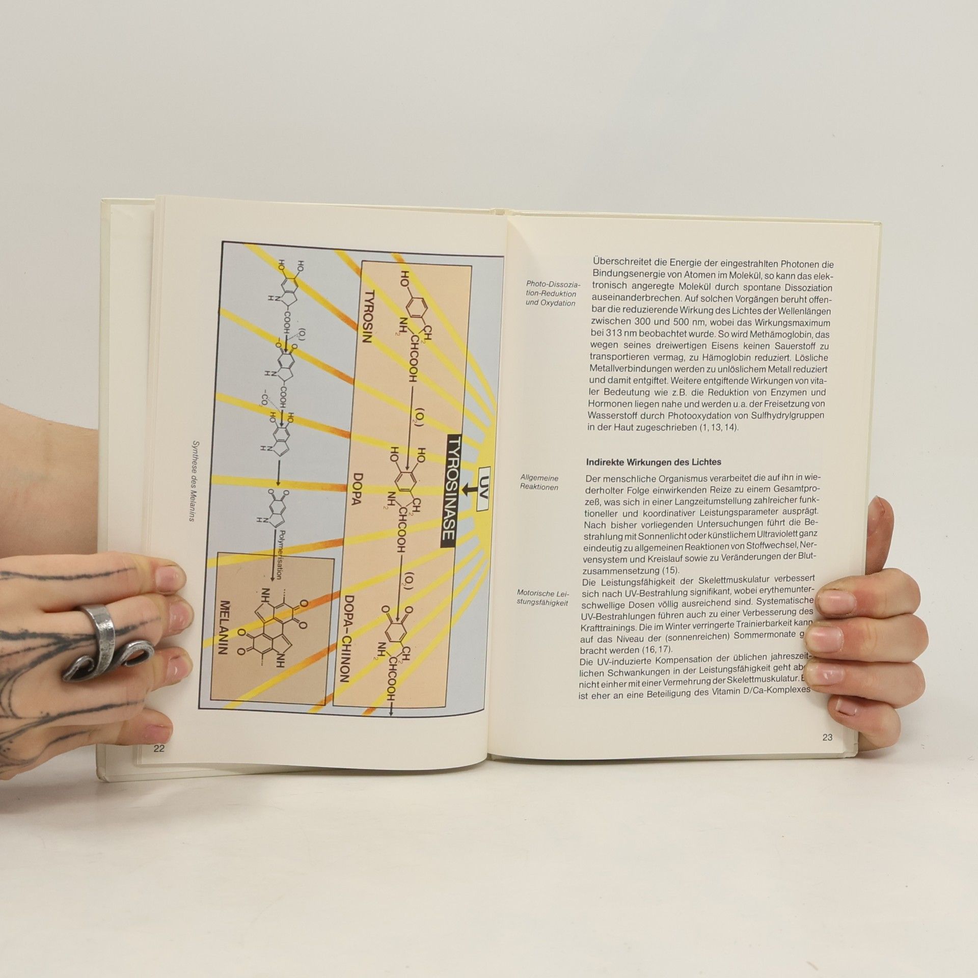 Friedrich Wolff Moderne Phototherapie