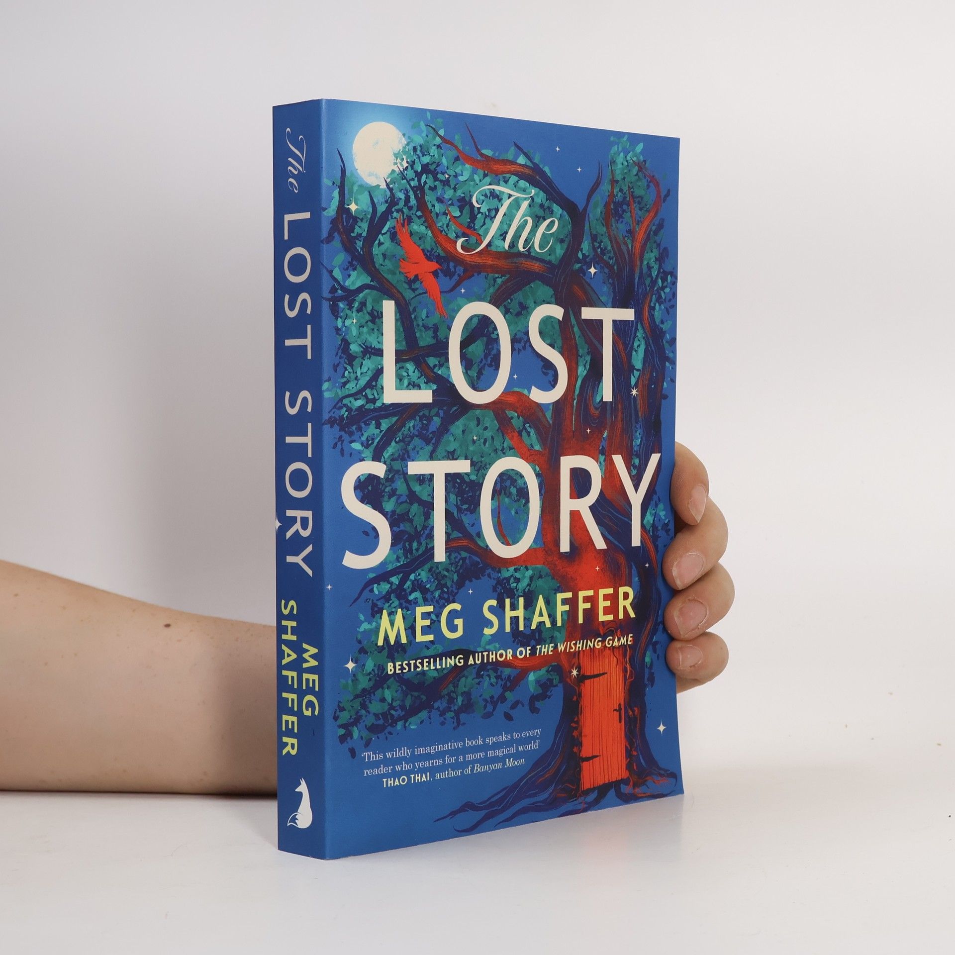Meg Shaffer The Lost Story: The gorgeous, heartwarming grown-up fairytale by the beloved author of The Wishing Game
