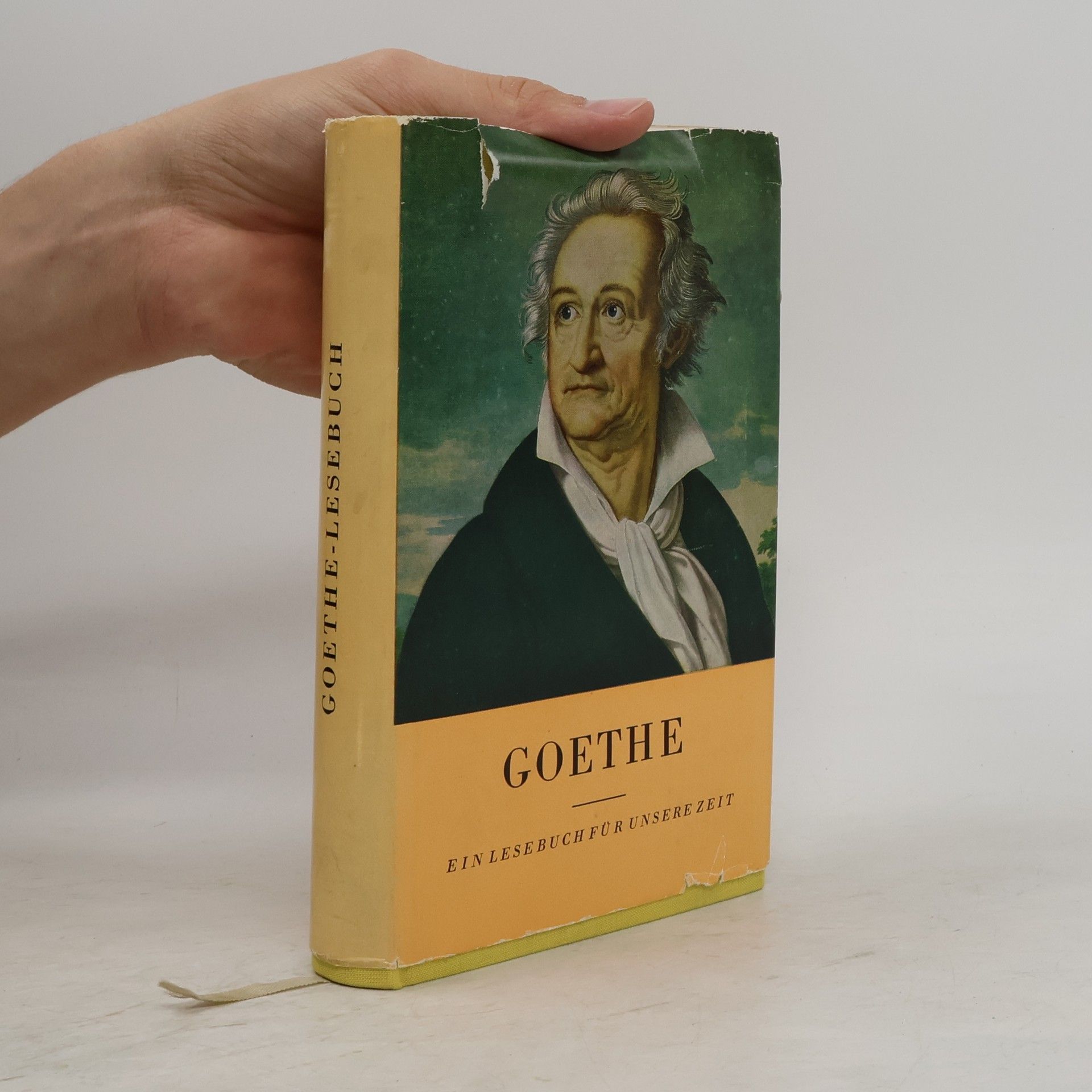 Kolektiv autorů Goethe. Ein Lesebuch fur unsere Zeit