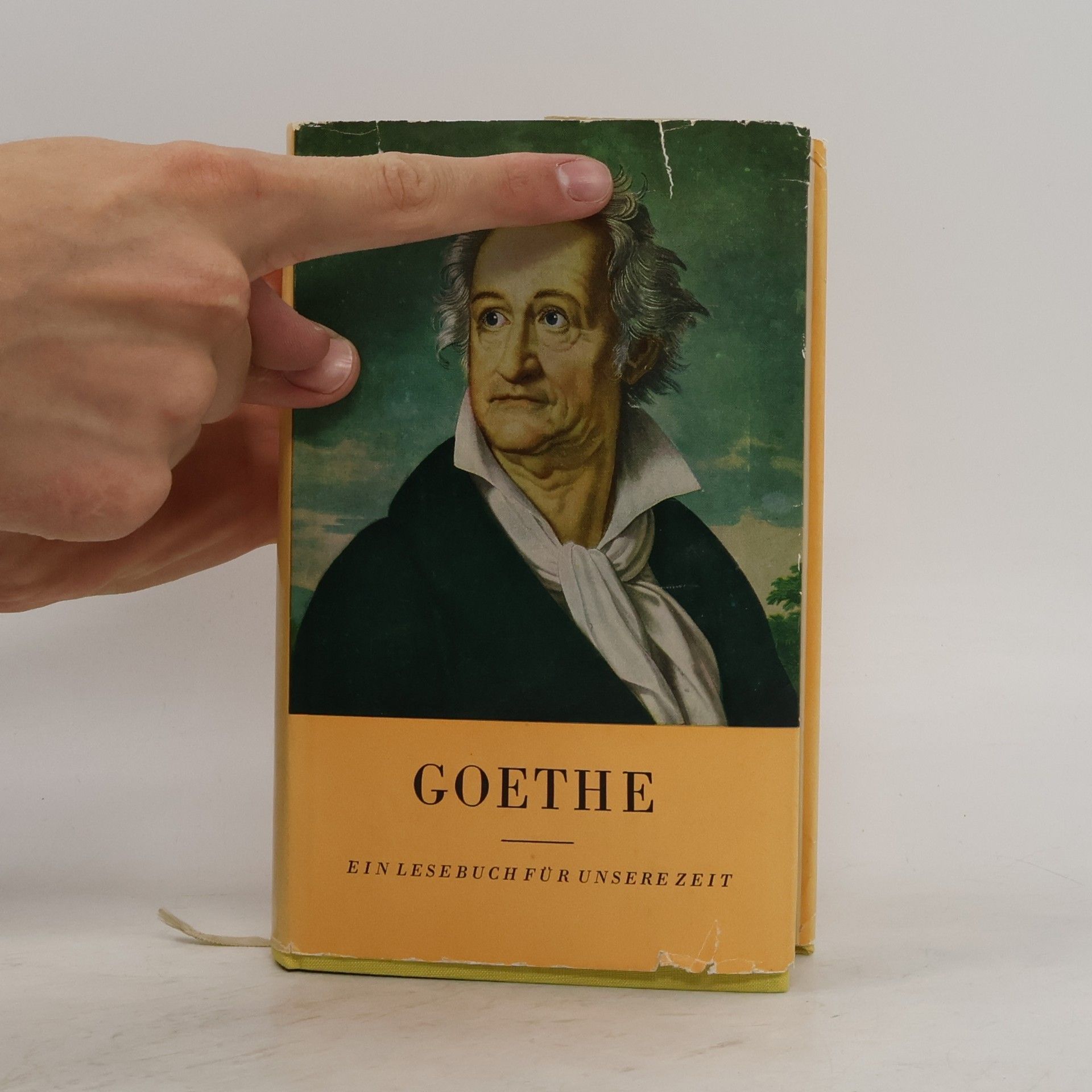 Kolektiv autorů Goethe. Ein Lesebuch fur unsere Zeit