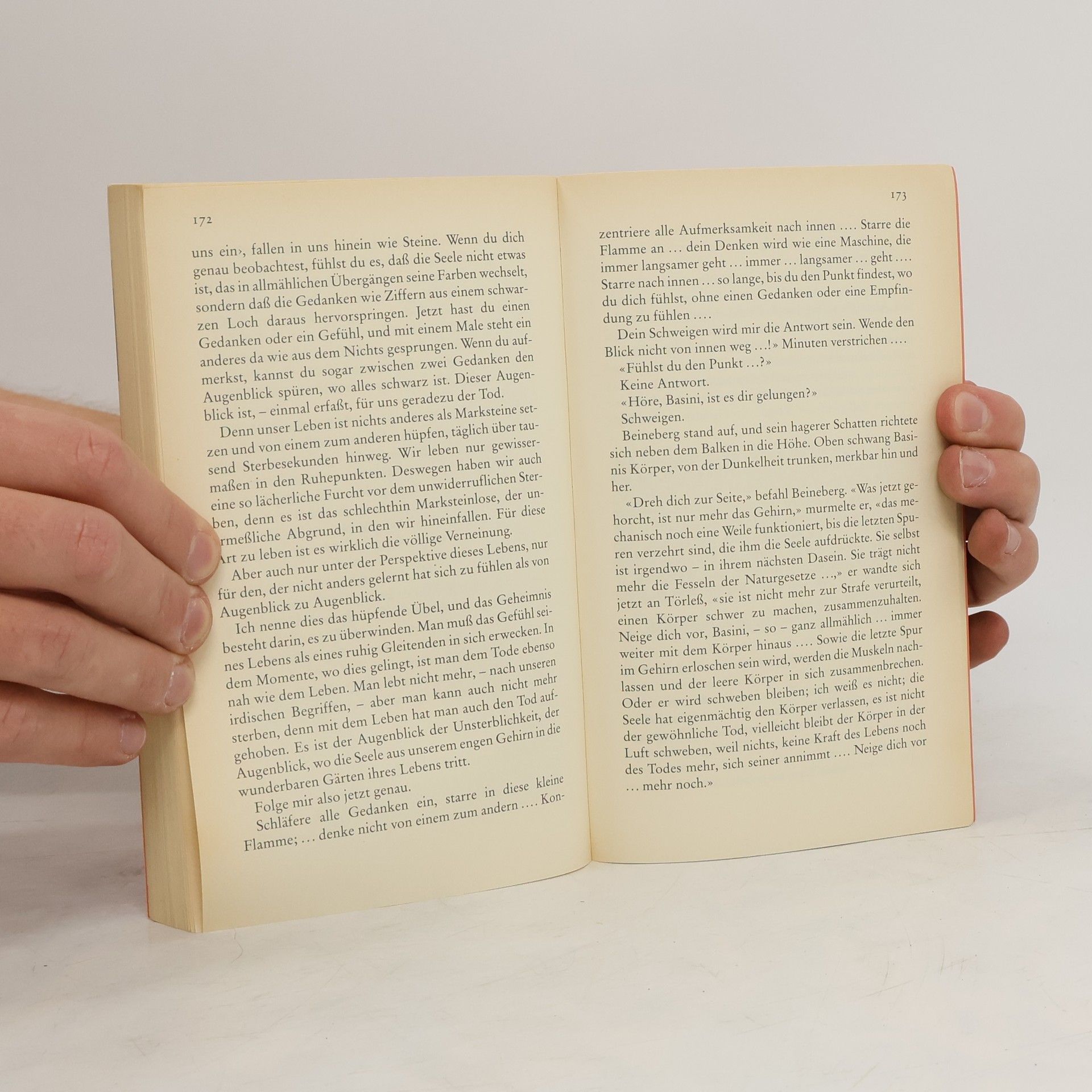 Robert Musil Die Verwirrungen des Zöglings Törleß