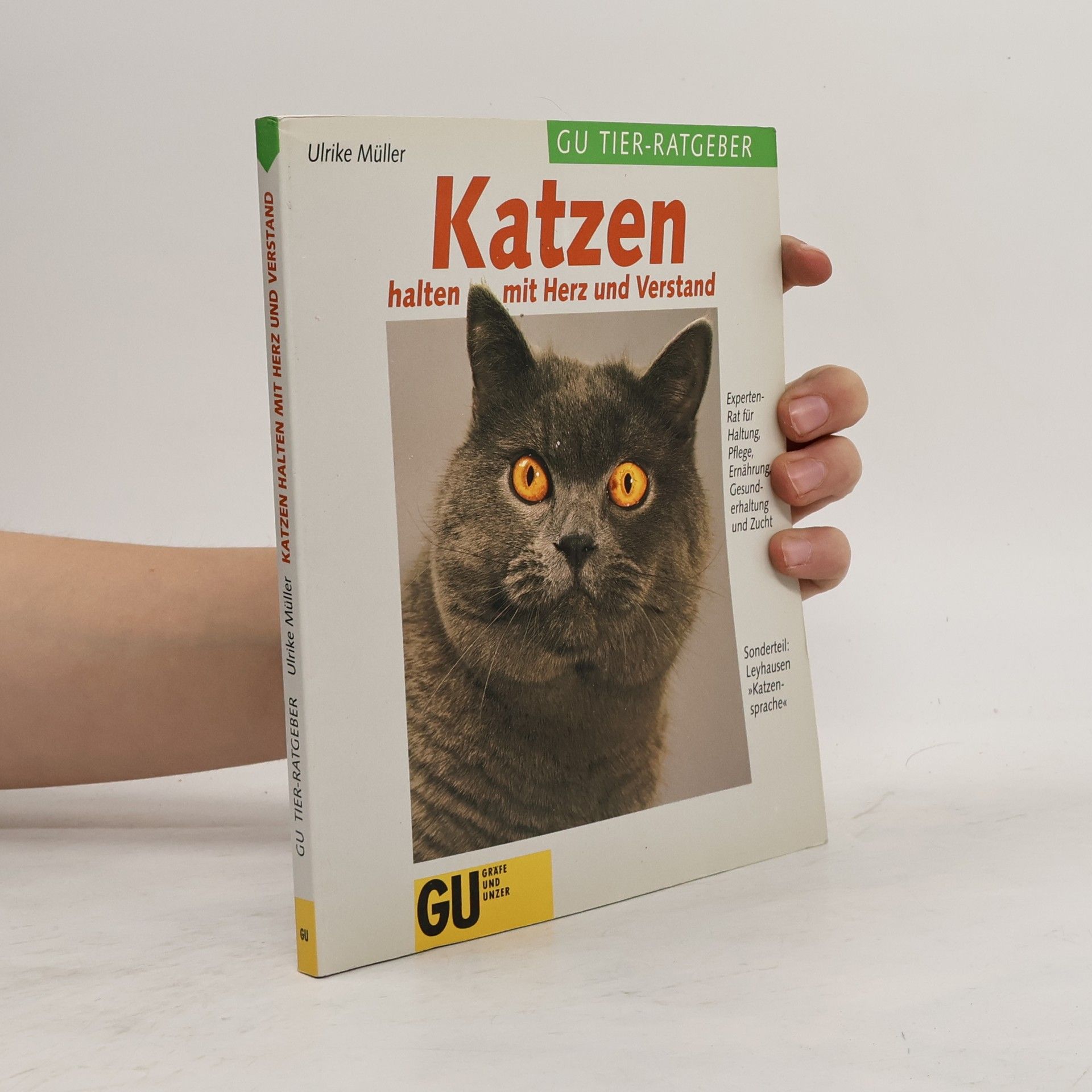 Ulrike Müller Das neue Katzenbuch