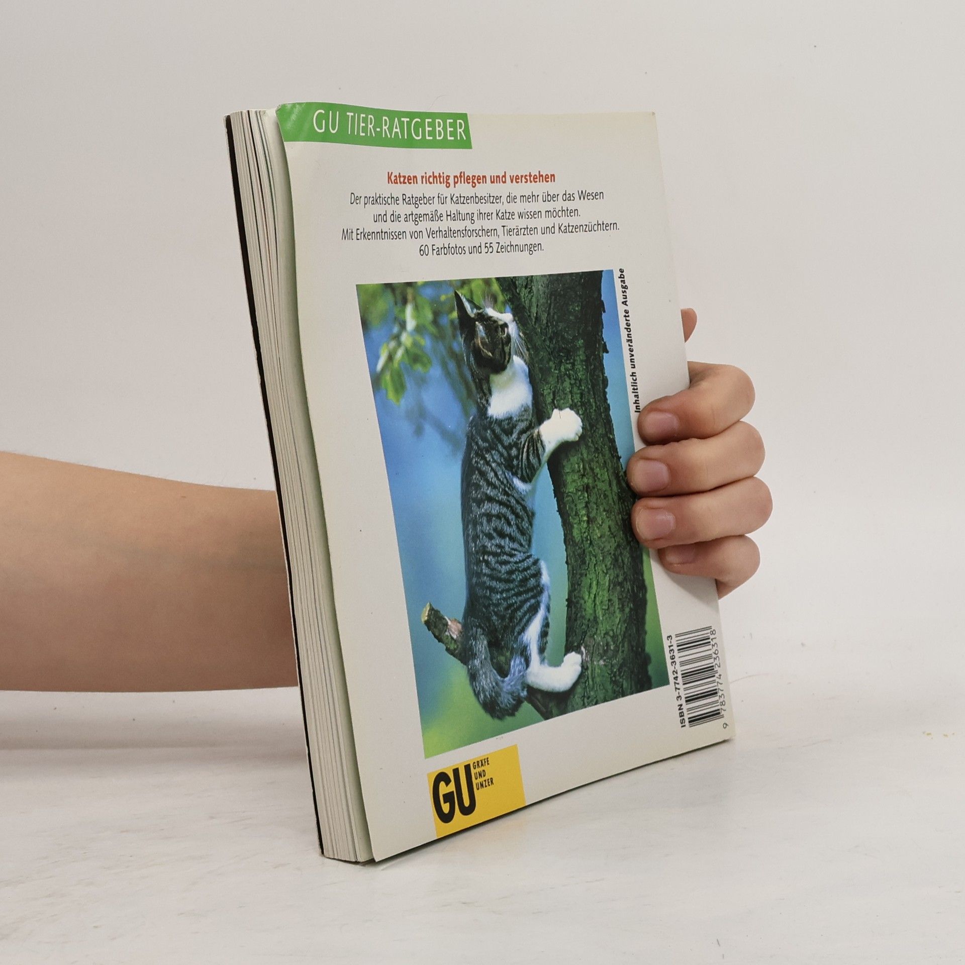 Ulrike Müller Das neue Katzenbuch