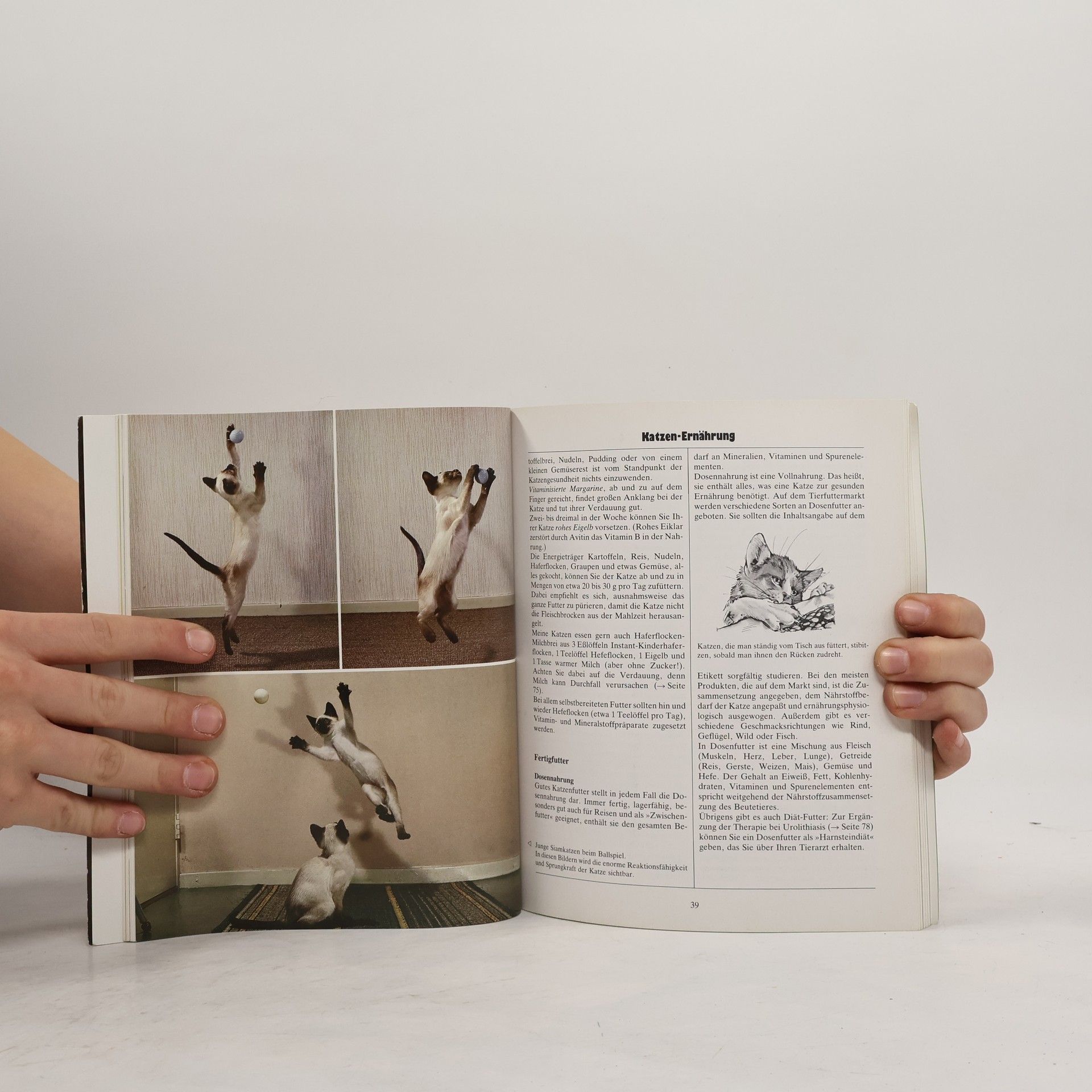 Ulrike Müller Das neue Katzenbuch