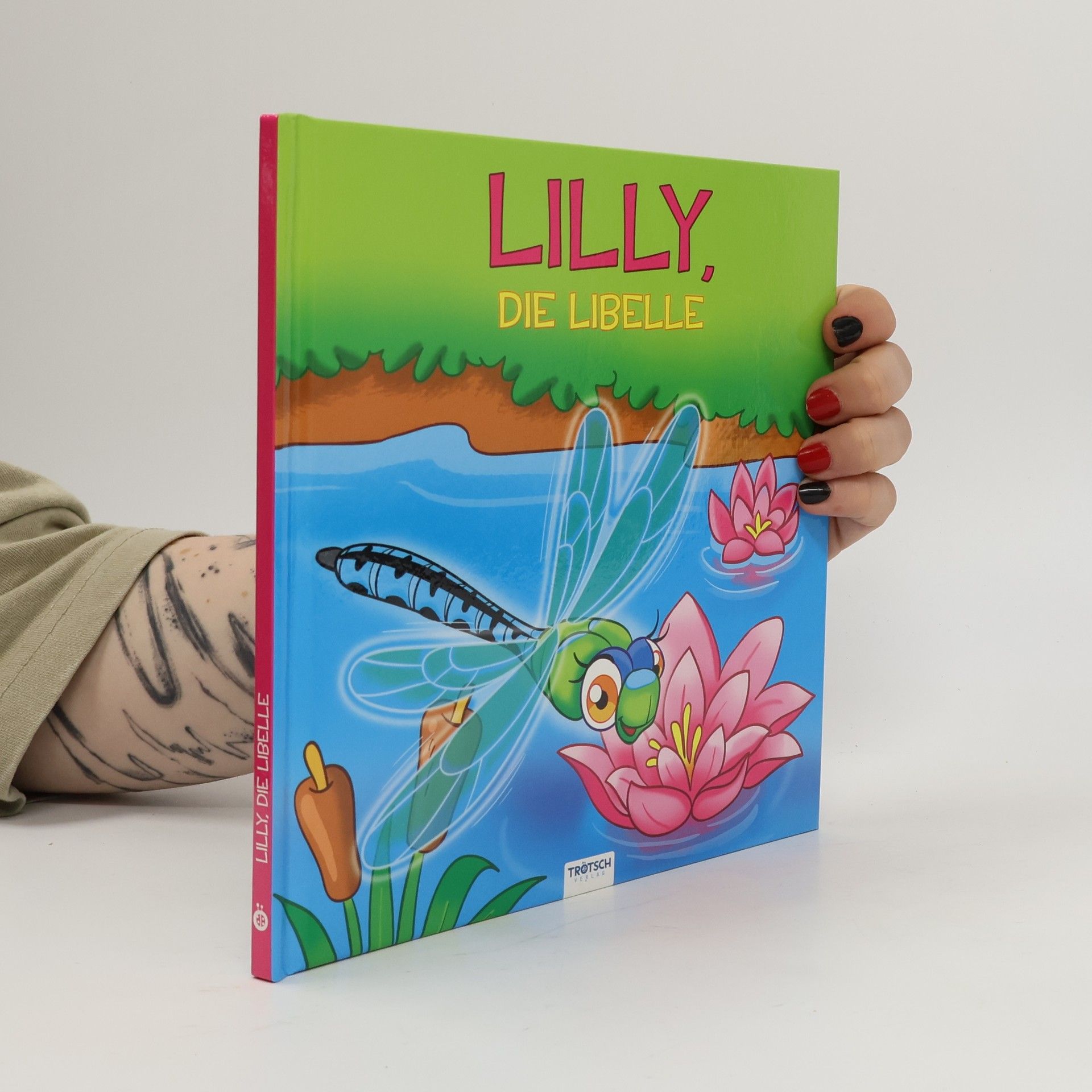Kolektiv autorů Geschichtenbuch Lilly, die Libelle