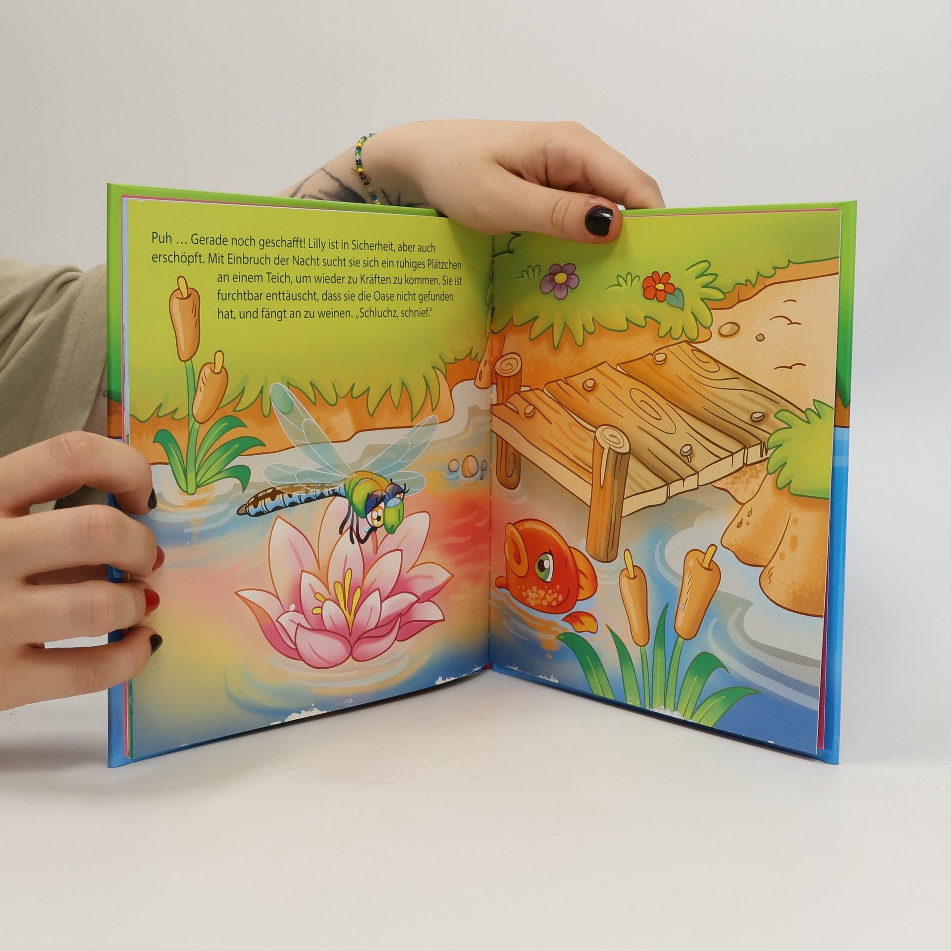 Geschichtenbuch Lilly, die Libelle