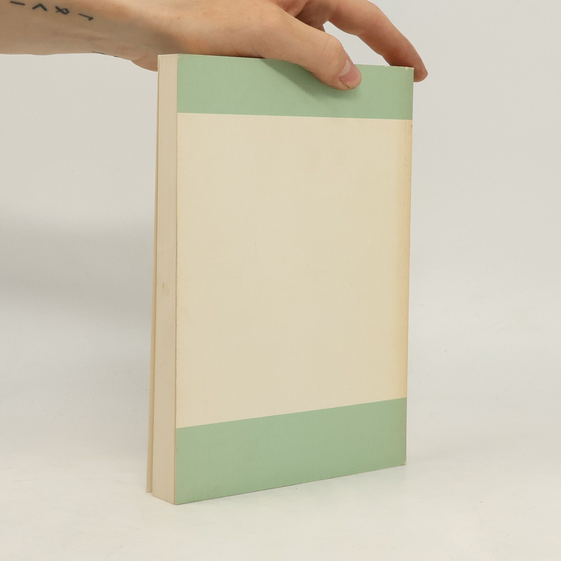 Niels Krack Schriftenreihe Erfahrungsheilkunde - 16: Segment-Diagnostik und Segment-Therapie