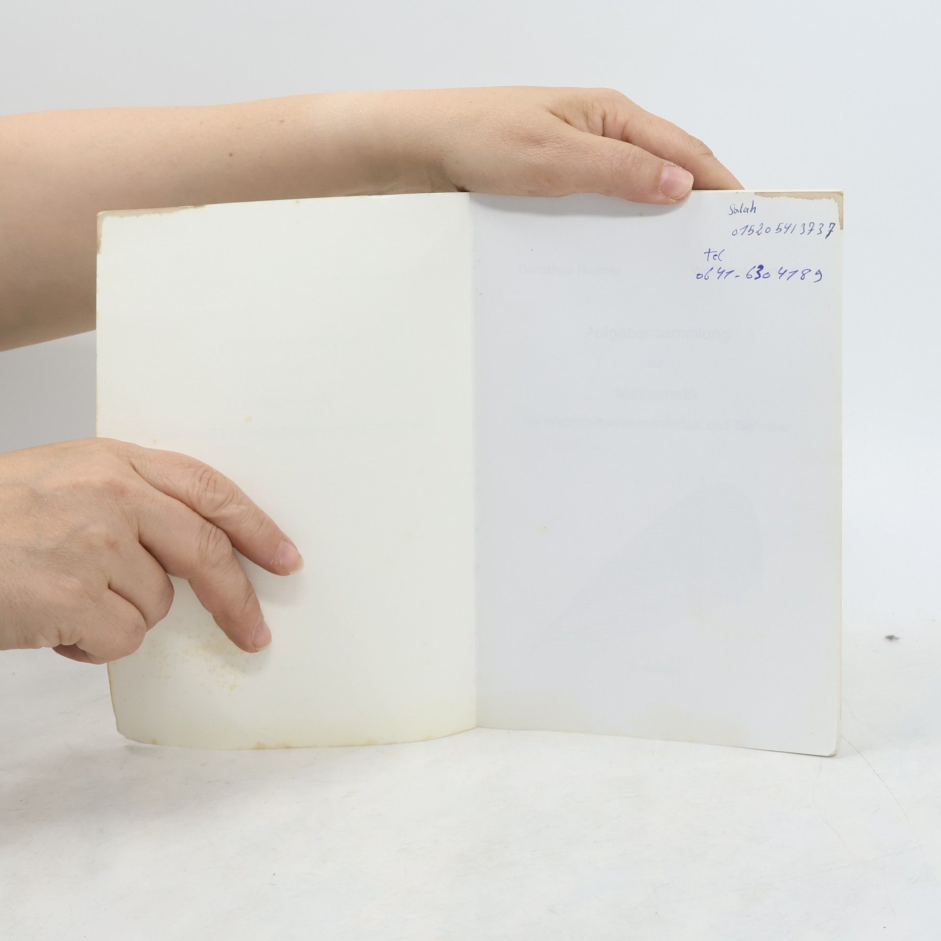 Dorothea Lodders Aufgabensammlung zur Mathematik für Wirtschaftswissenschaftler und Techniker