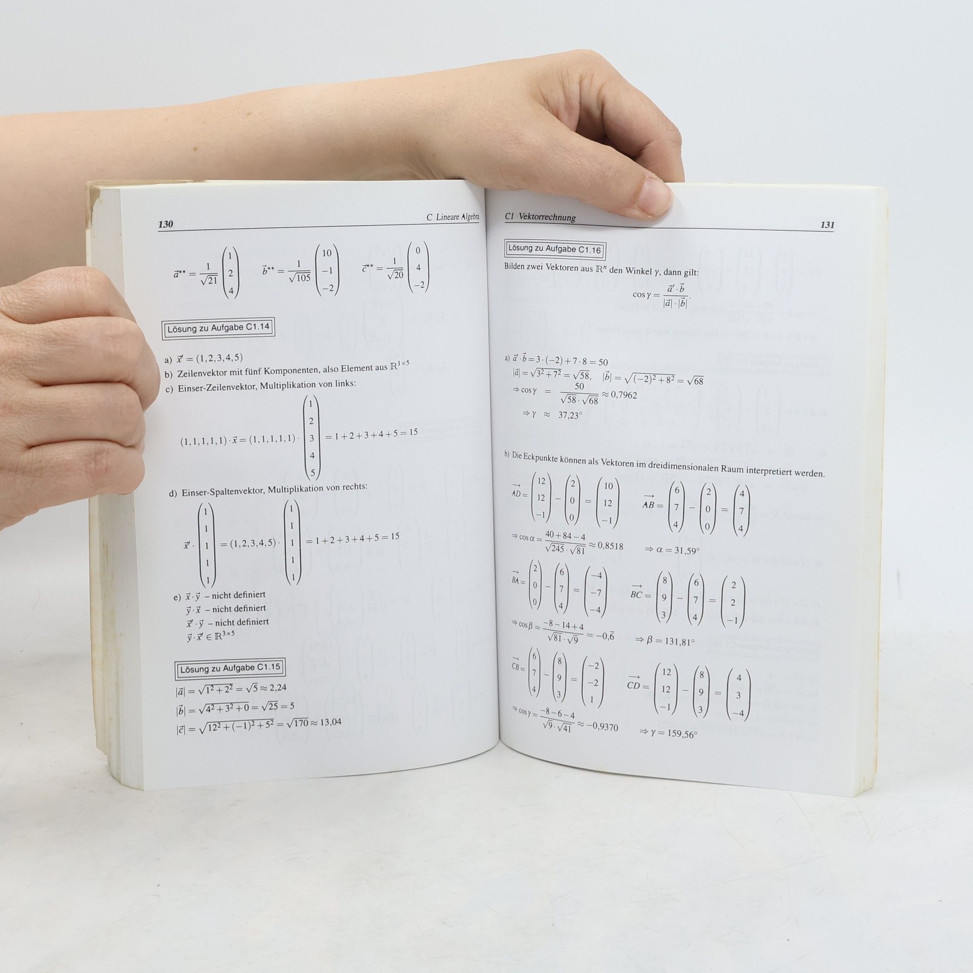 Dorothea Lodders Aufgabensammlung zur Mathematik für Wirtschaftswissenschaftler und Techniker