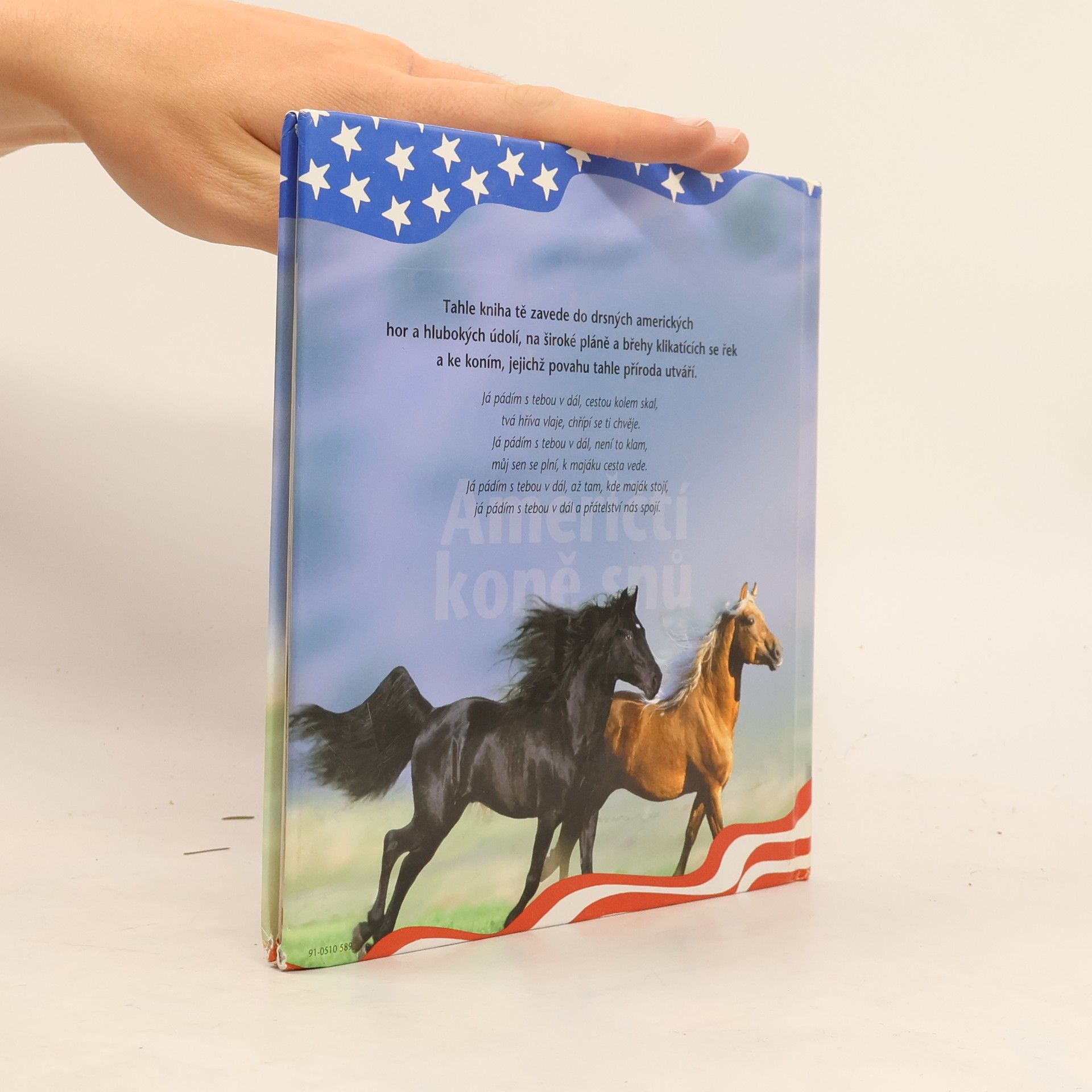 Autorenkollektiv Američtí koně snů