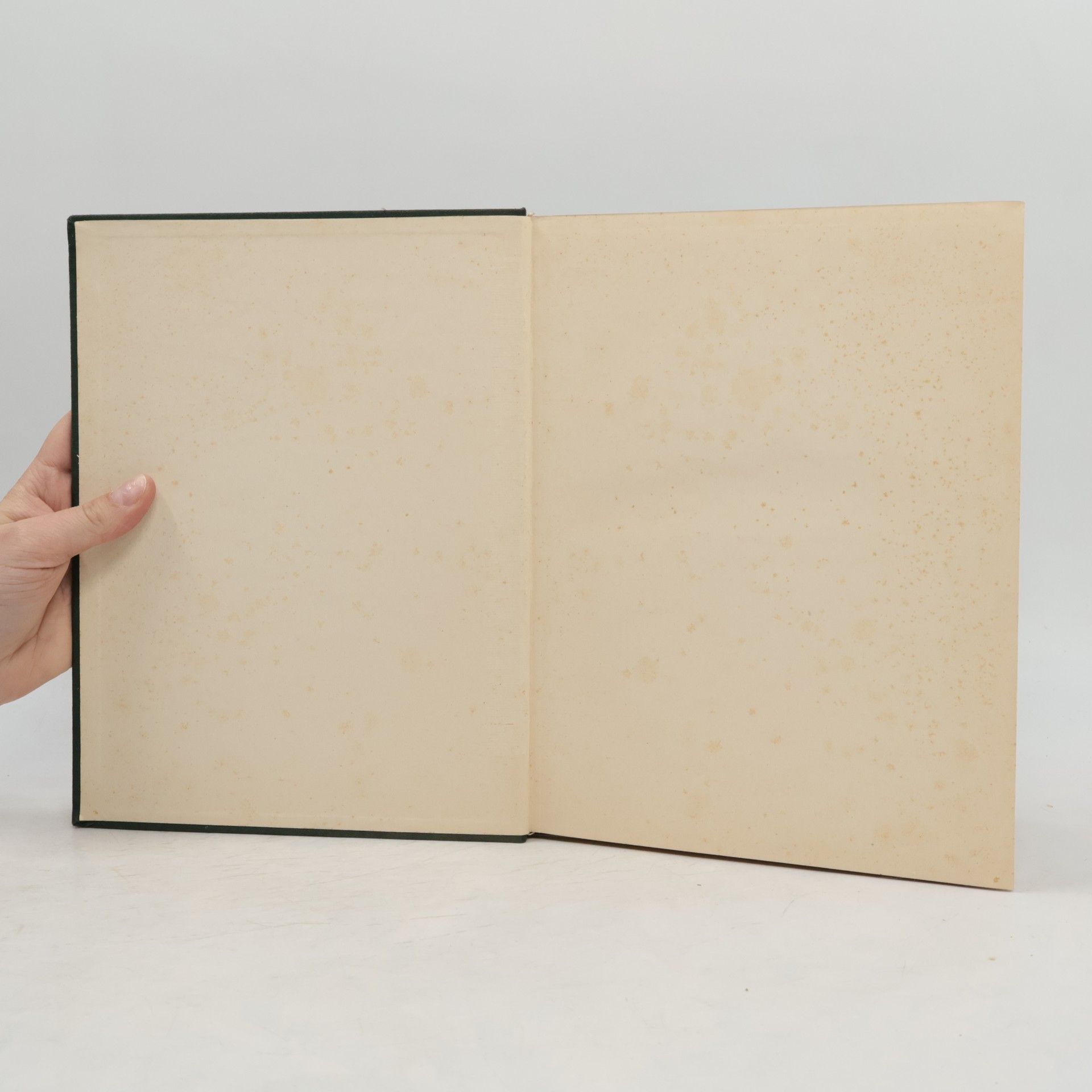 Gustav Freytag Soll und haben