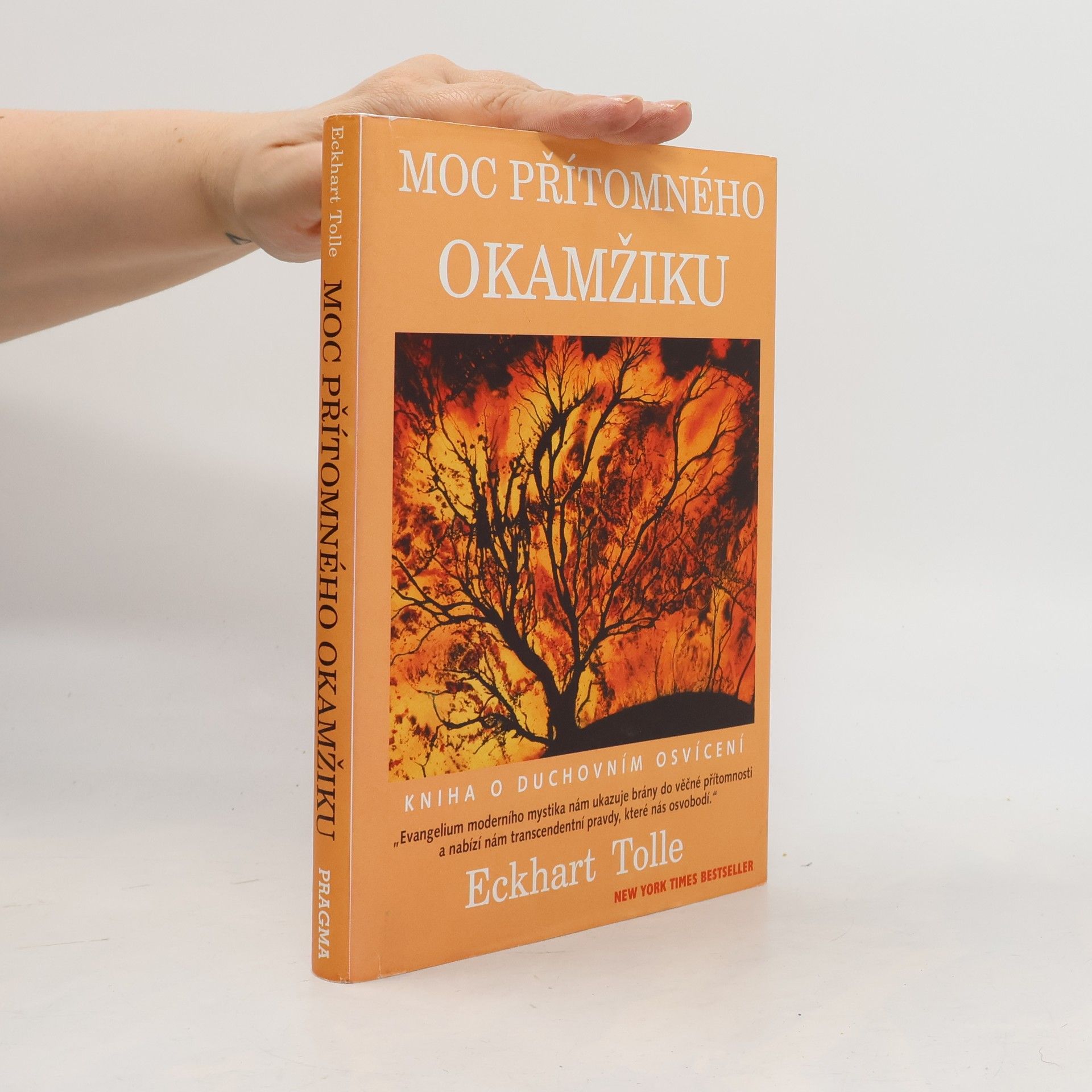 Eckhart Tolle Moc přítomného okamžiku