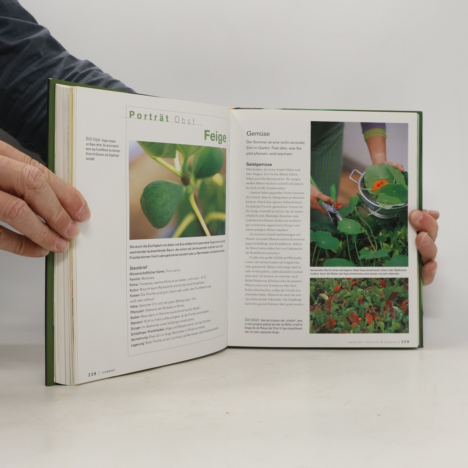 Meredith Kirton Das große Gartenhandbuch