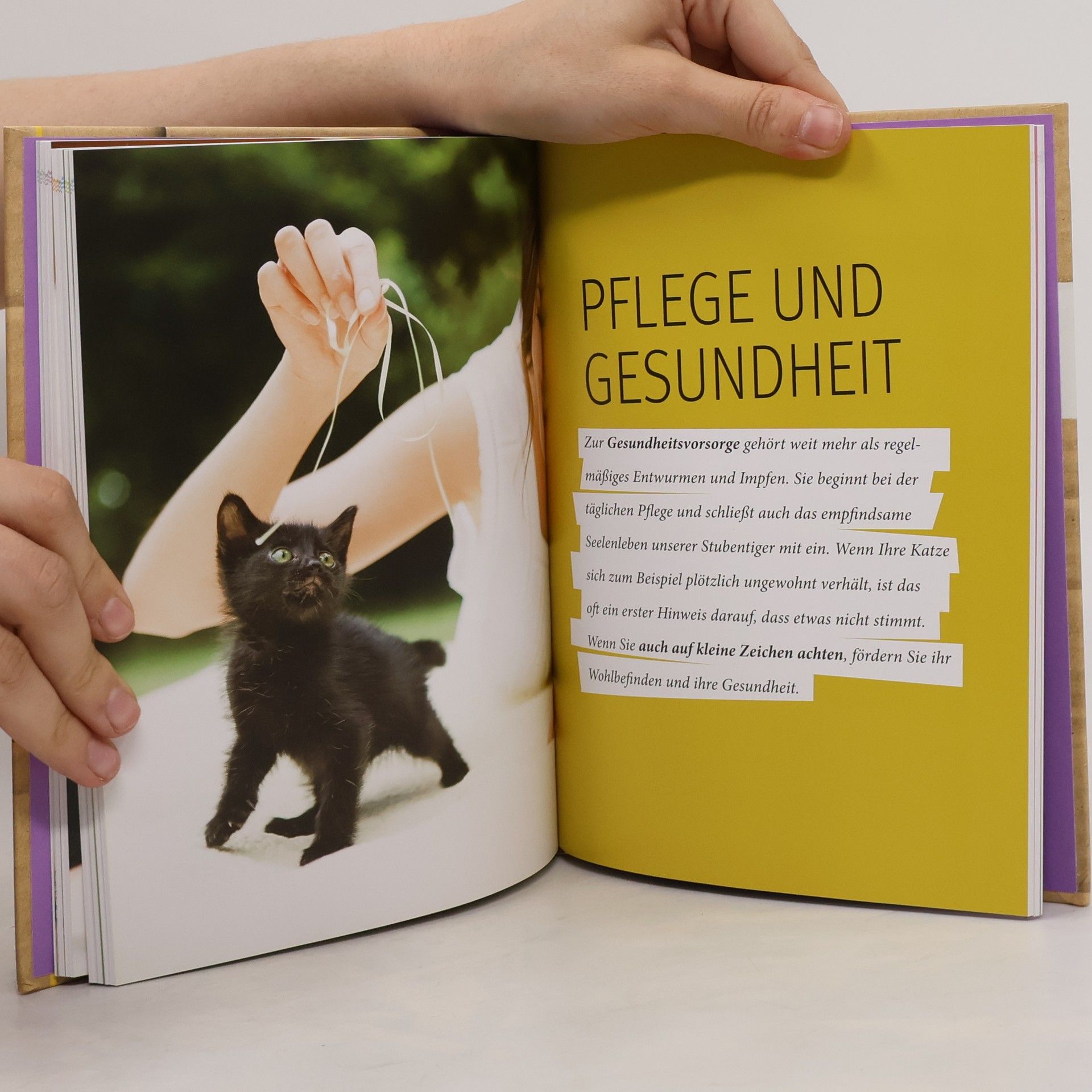 Katja Rüssel Die Katzen-Trickkiste