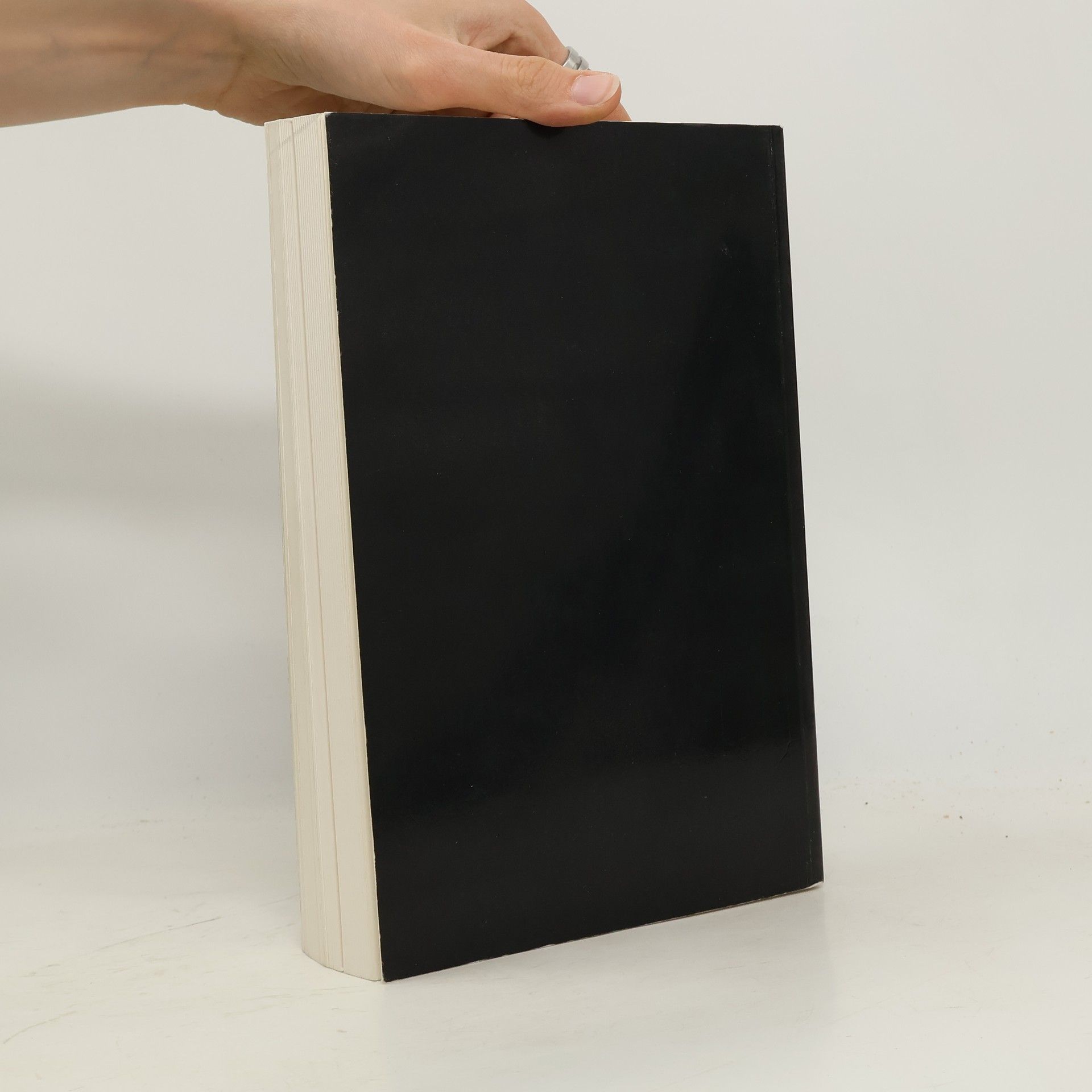 Autorenkollektiv Katalog der Staatsgalerie Stuttgart