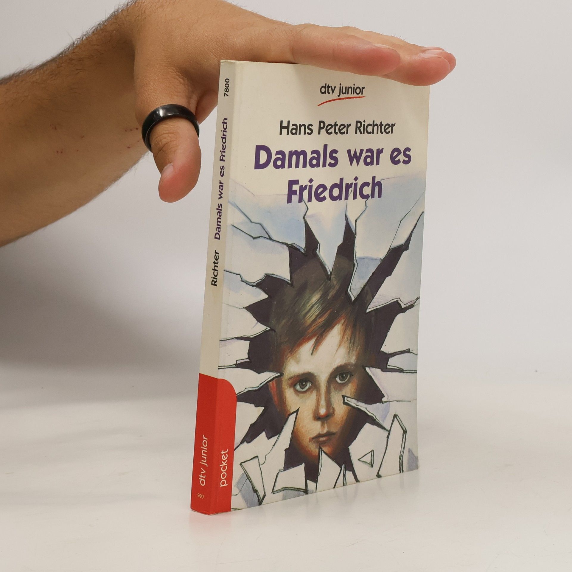 Hans Peter Richter Damals war es Friedrich
