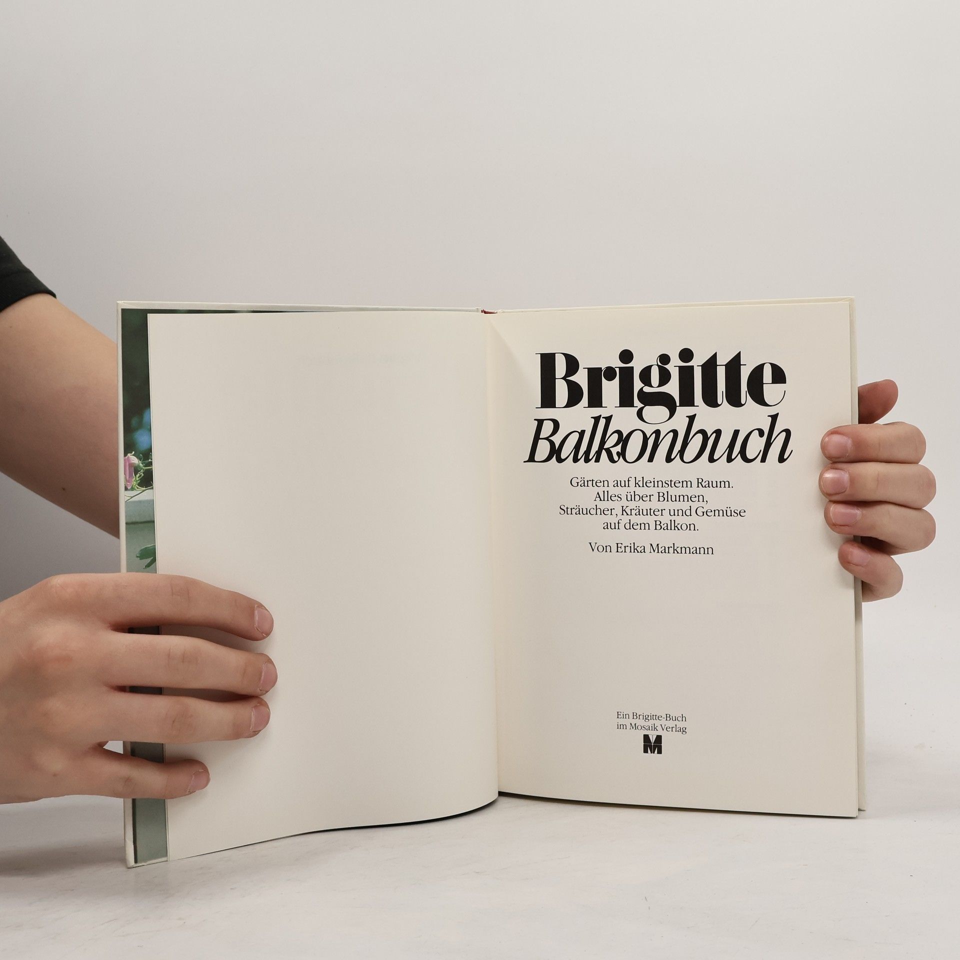 Erika Markmann Brigitte-Balkonbuch