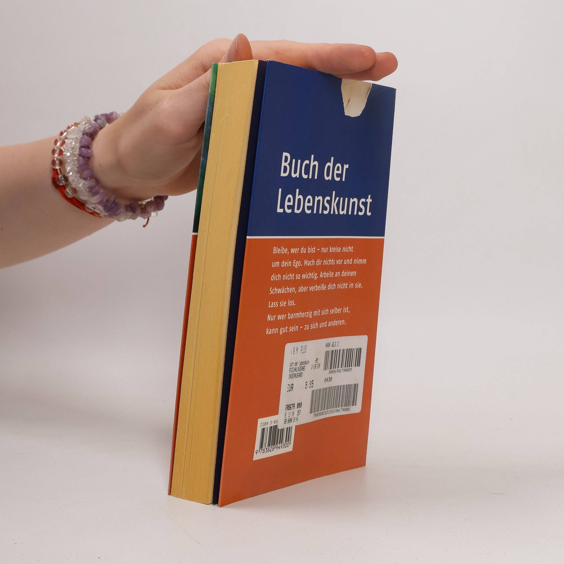 Anselm Grün Buch der Lebenskunst
