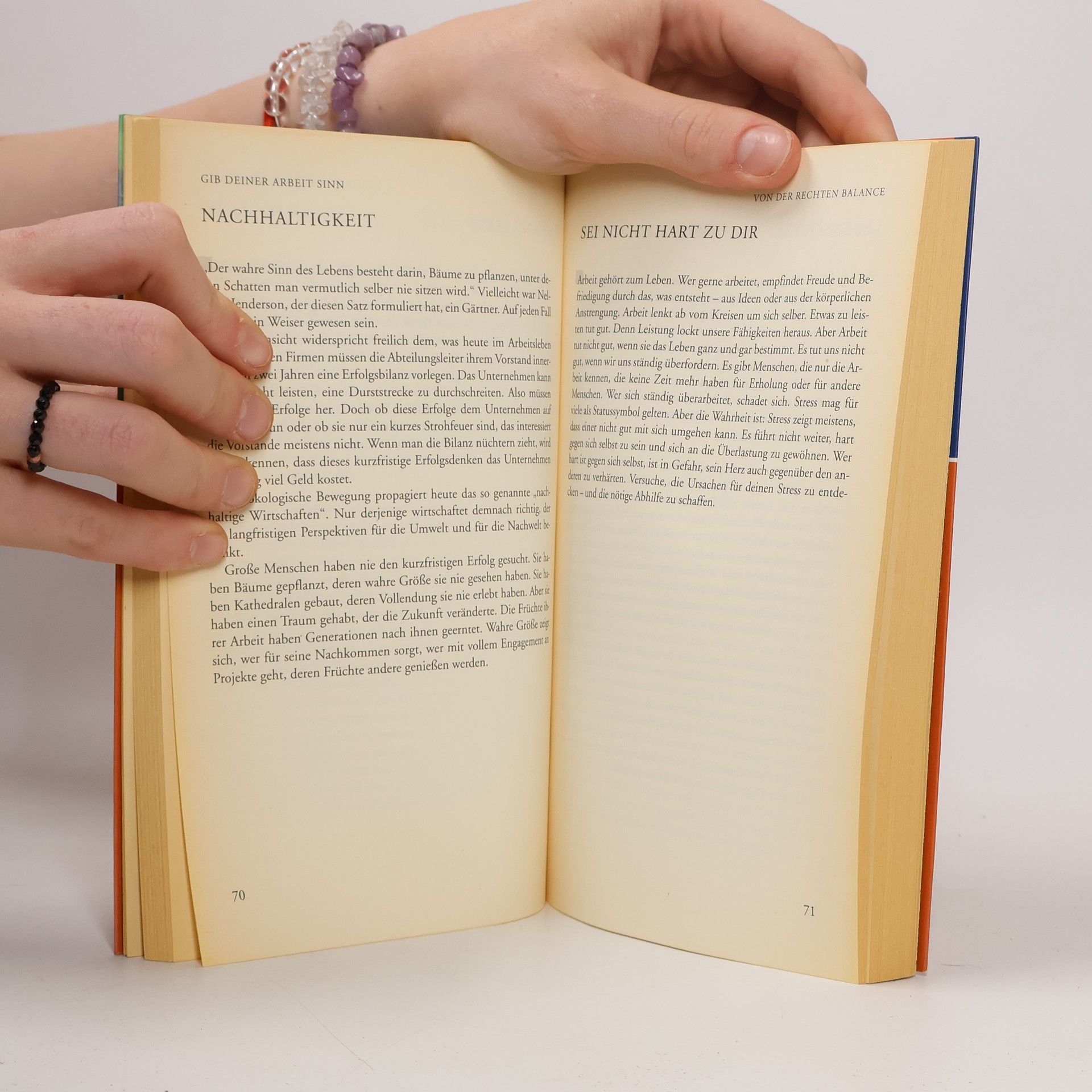 Anselm Grün Buch der Lebenskunst