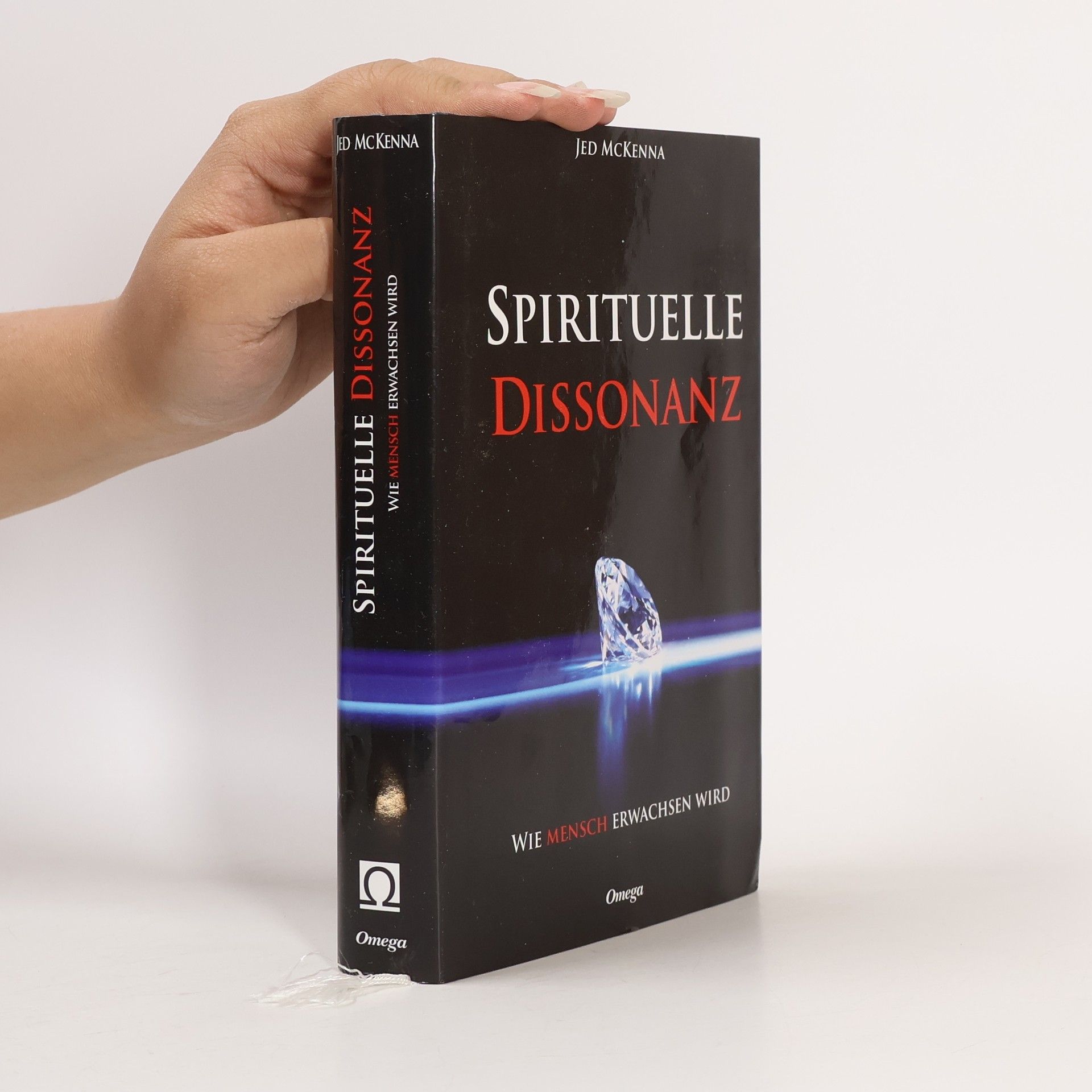 Jed McKenna Spirituelle Dissonanz