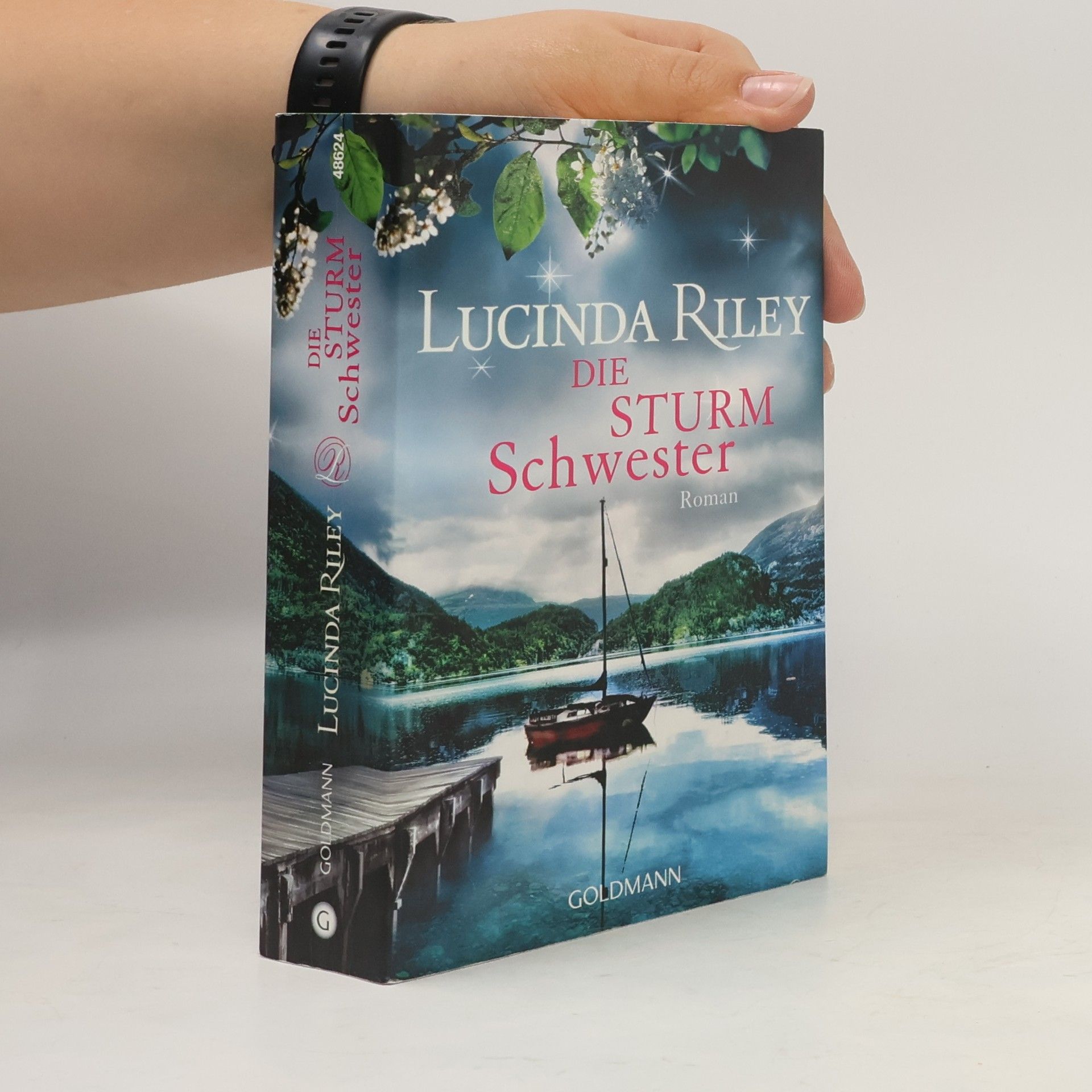 Lucinda Riley Die Sturmschwester