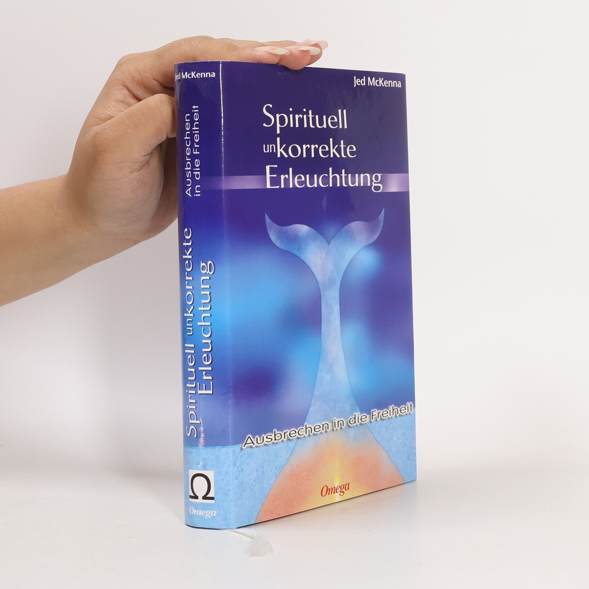 Jed McKenna Spirituell unkorrekte Erleuchtung