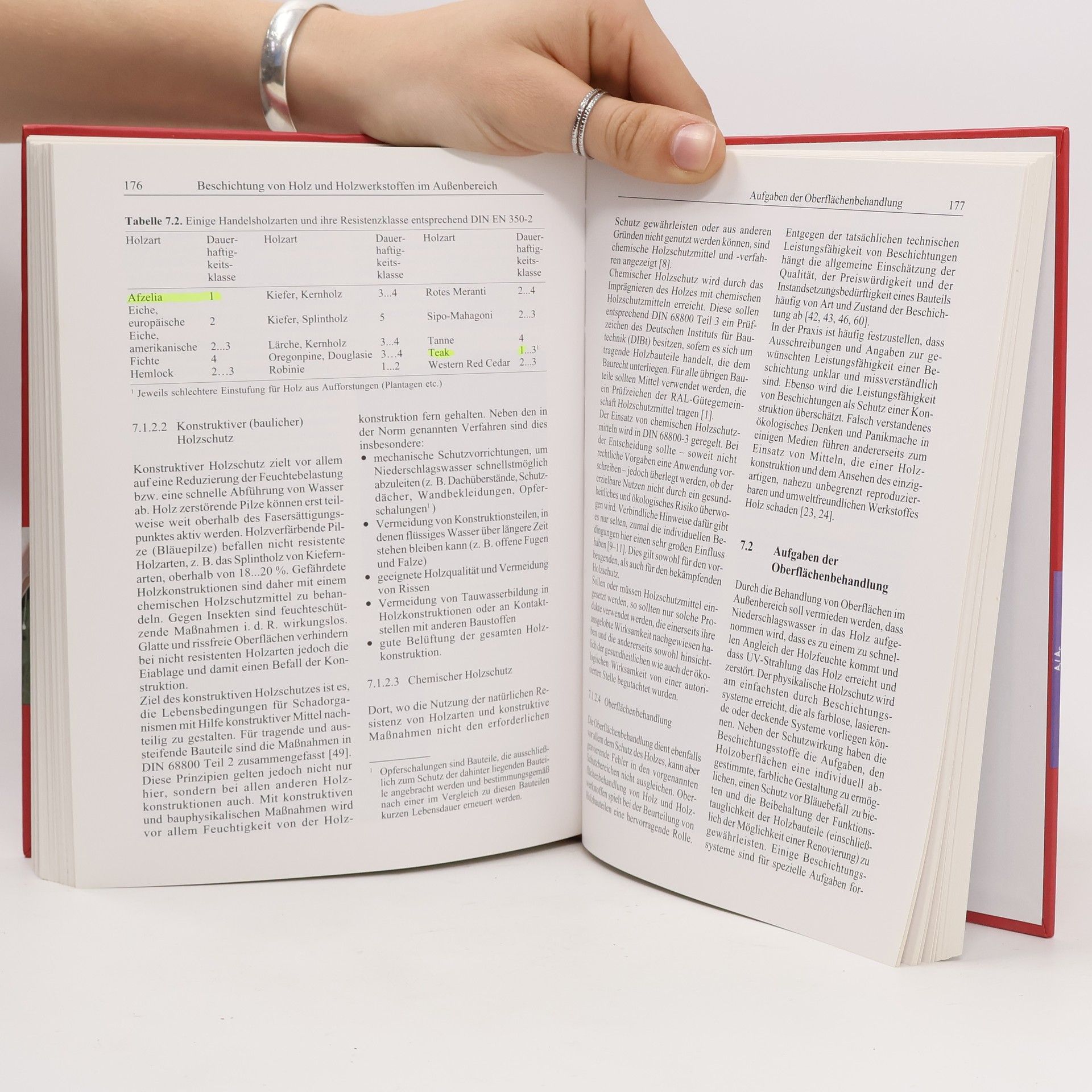 Martin Rothkamm Lackhandbuch Holz