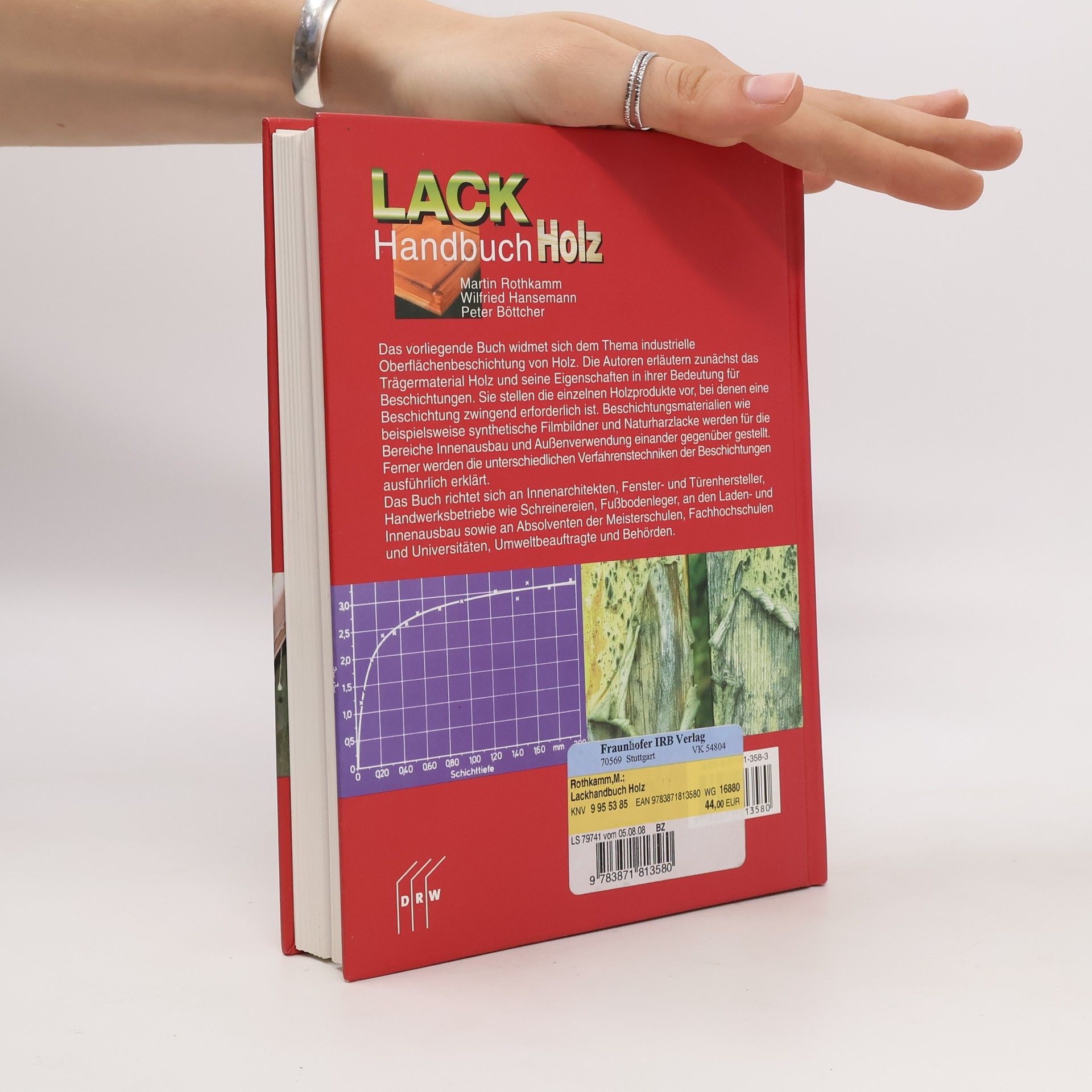 Martin Rothkamm Lackhandbuch Holz