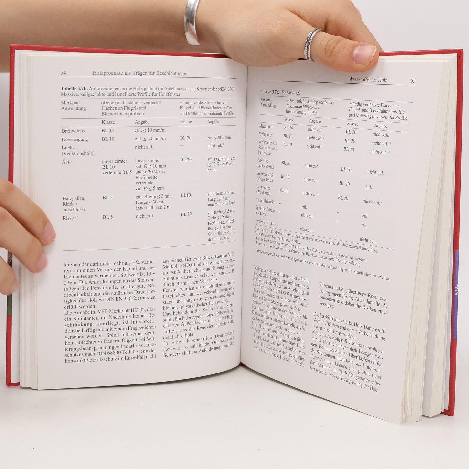 Martin Rothkamm Lackhandbuch Holz
