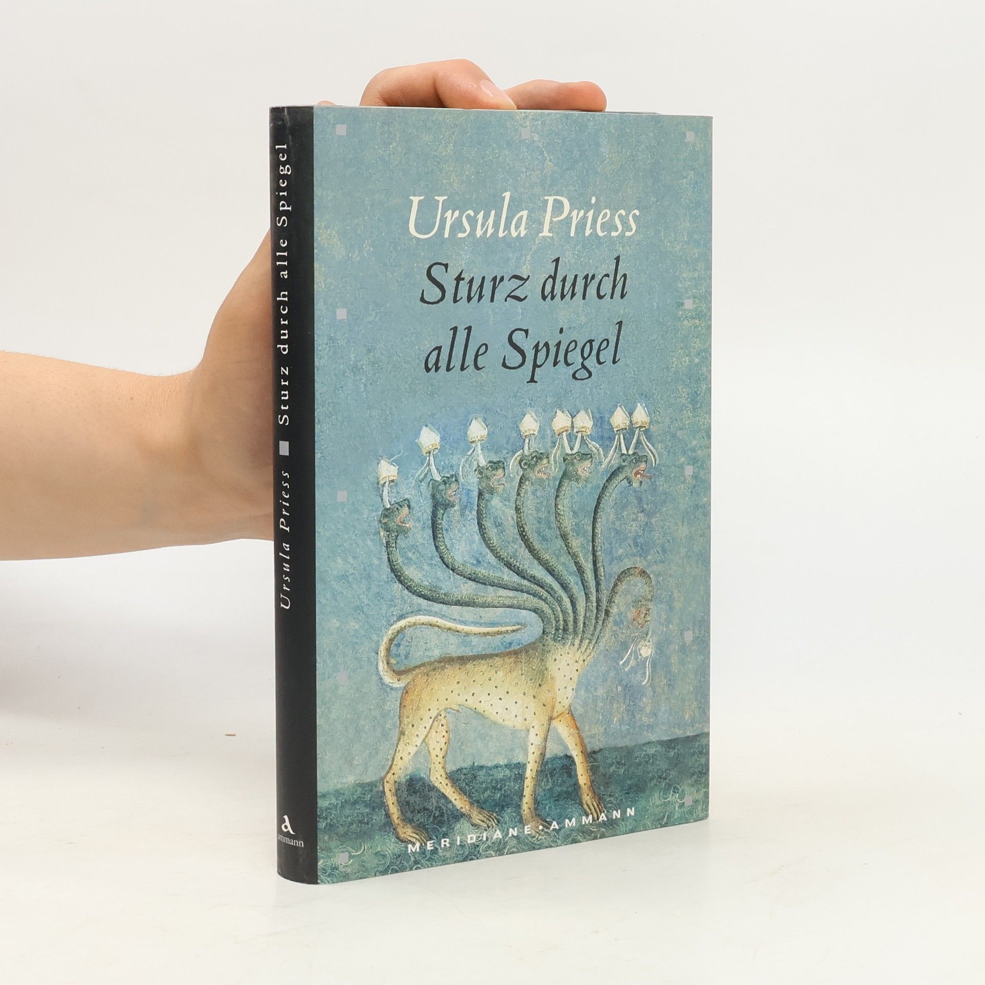 Ursula Priess Sturz durch alle Spiegel