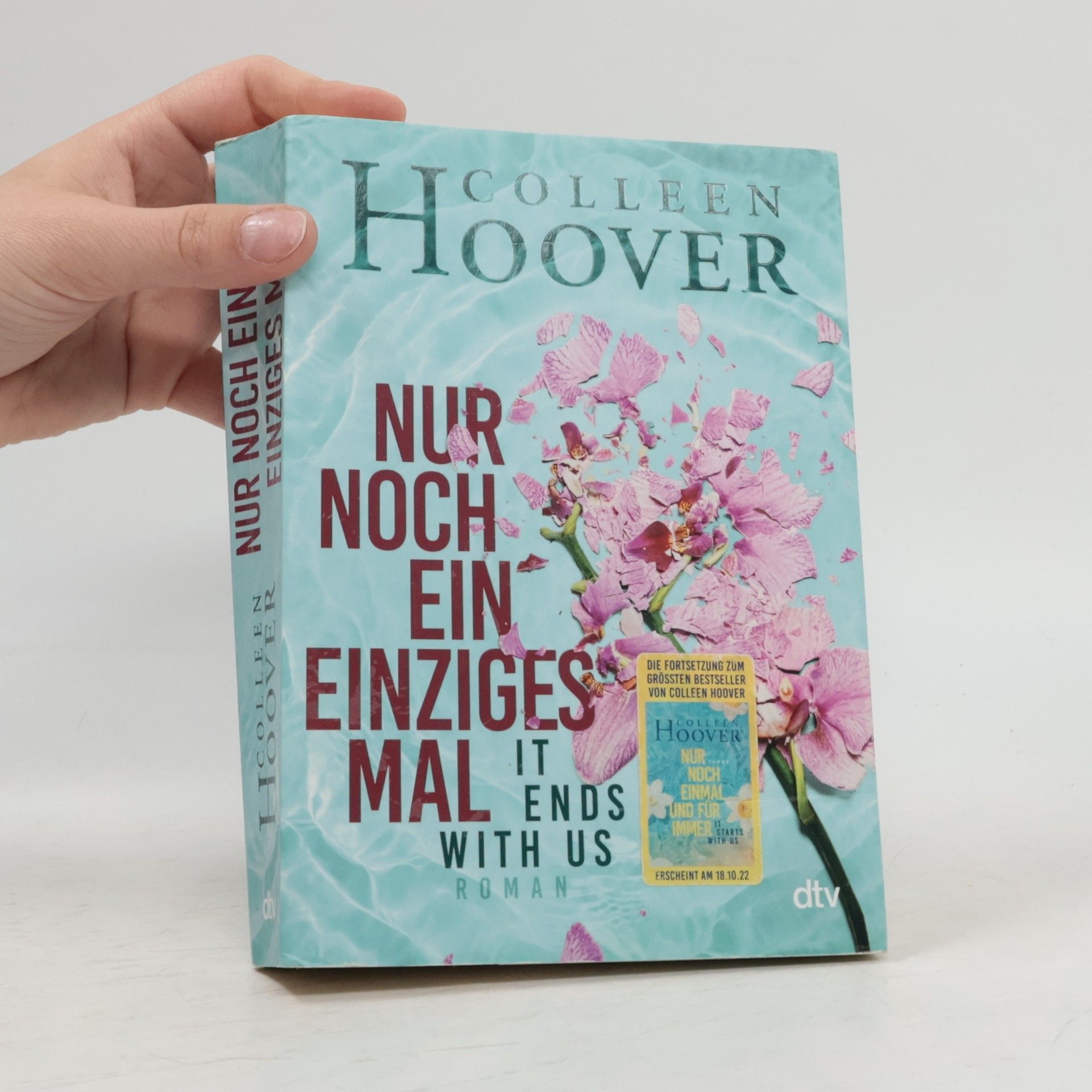 Colleen Hoover Nur noch ein einziges Mal