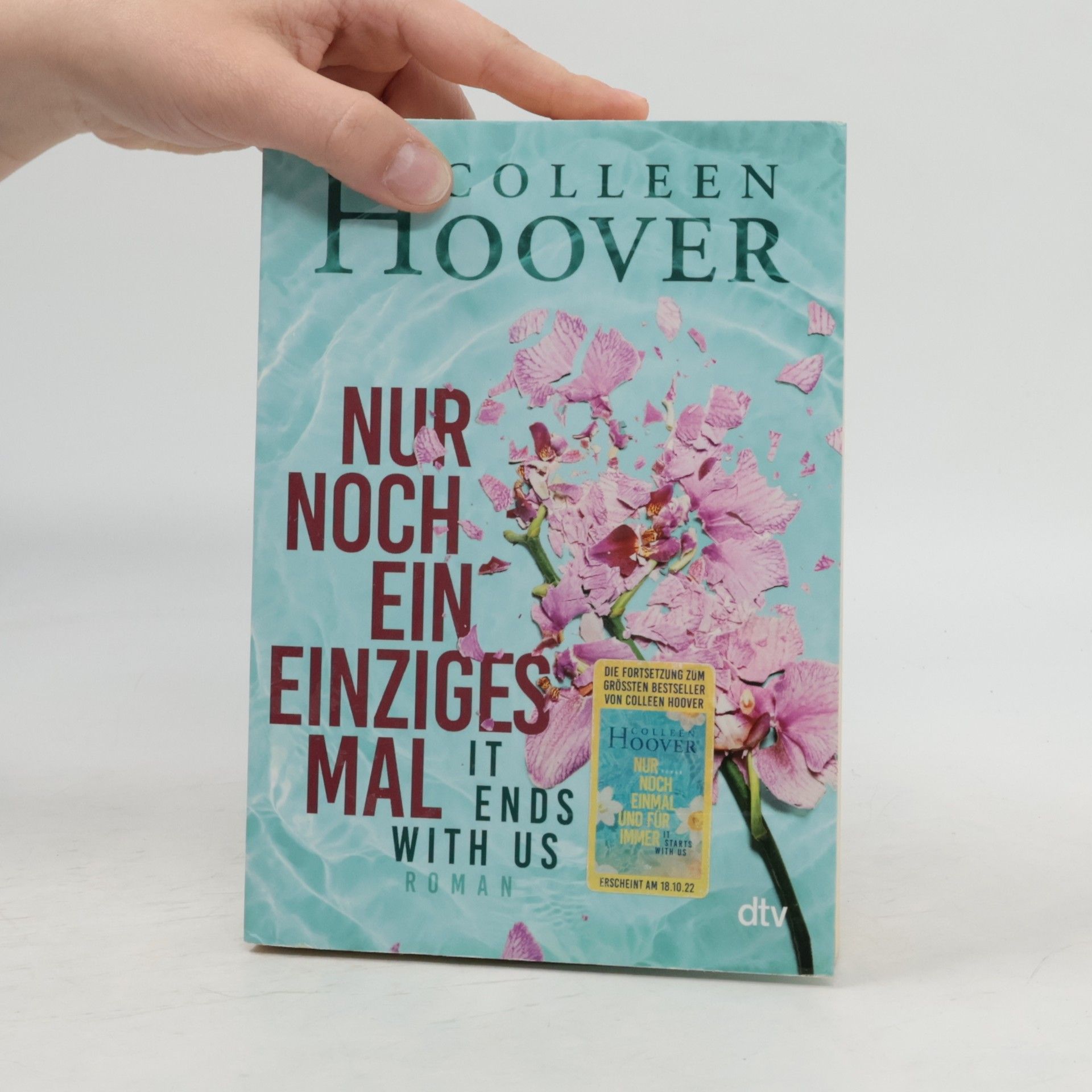Colleen Hoover Nur noch ein einziges Mal