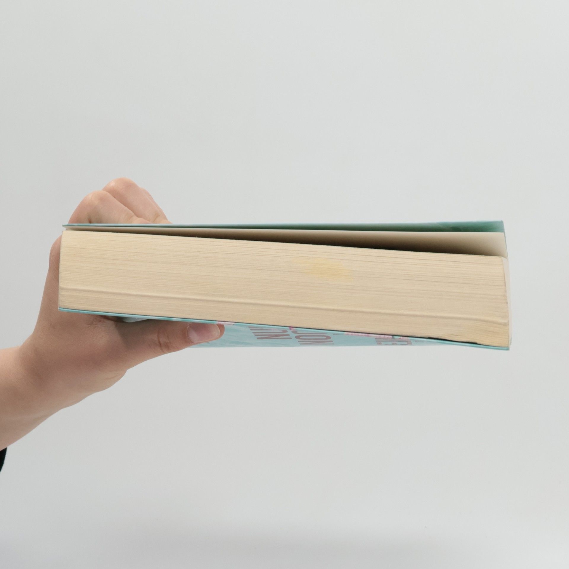 Colleen Hoover Nur noch ein einziges Mal