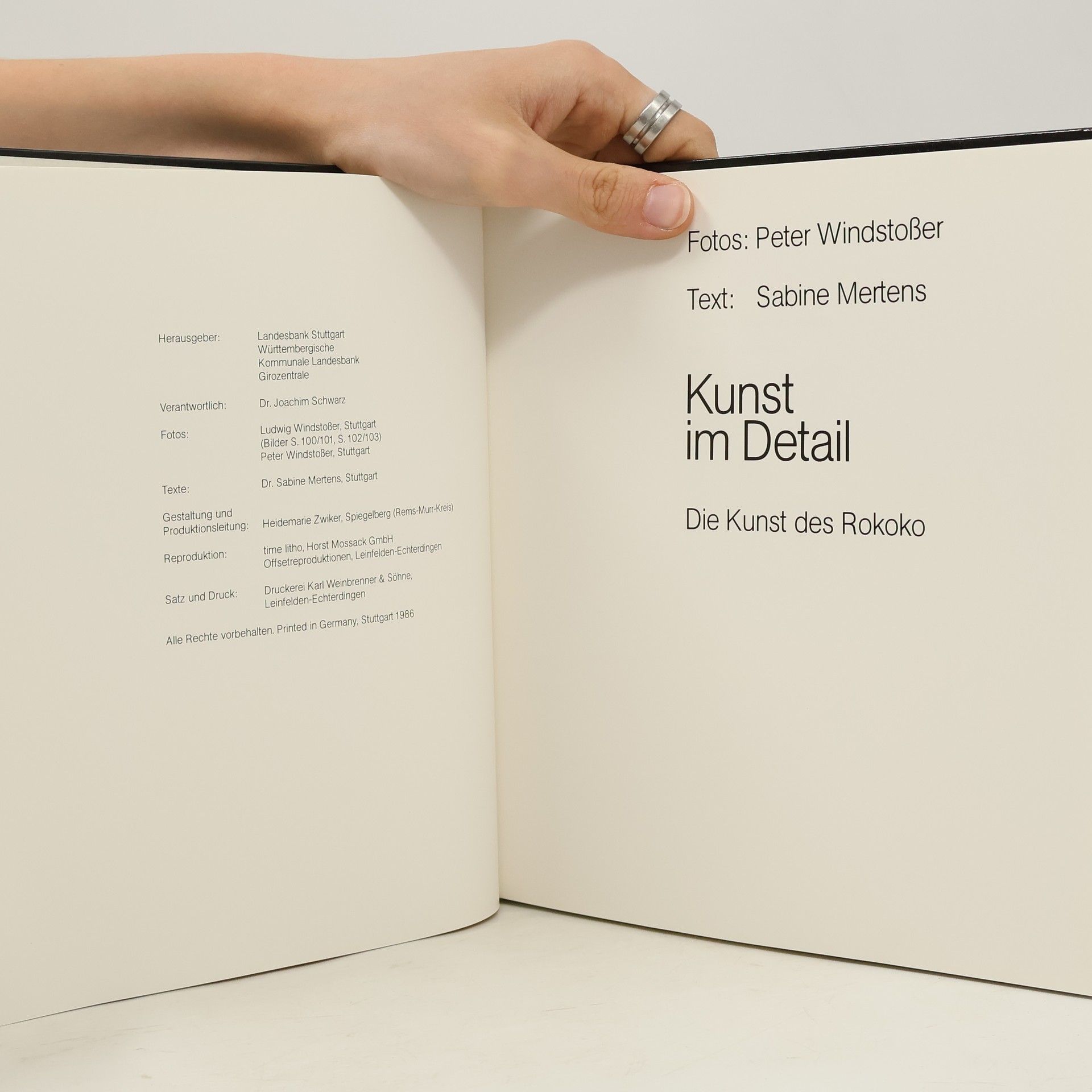 Sabine Mertens Kunst im Detail