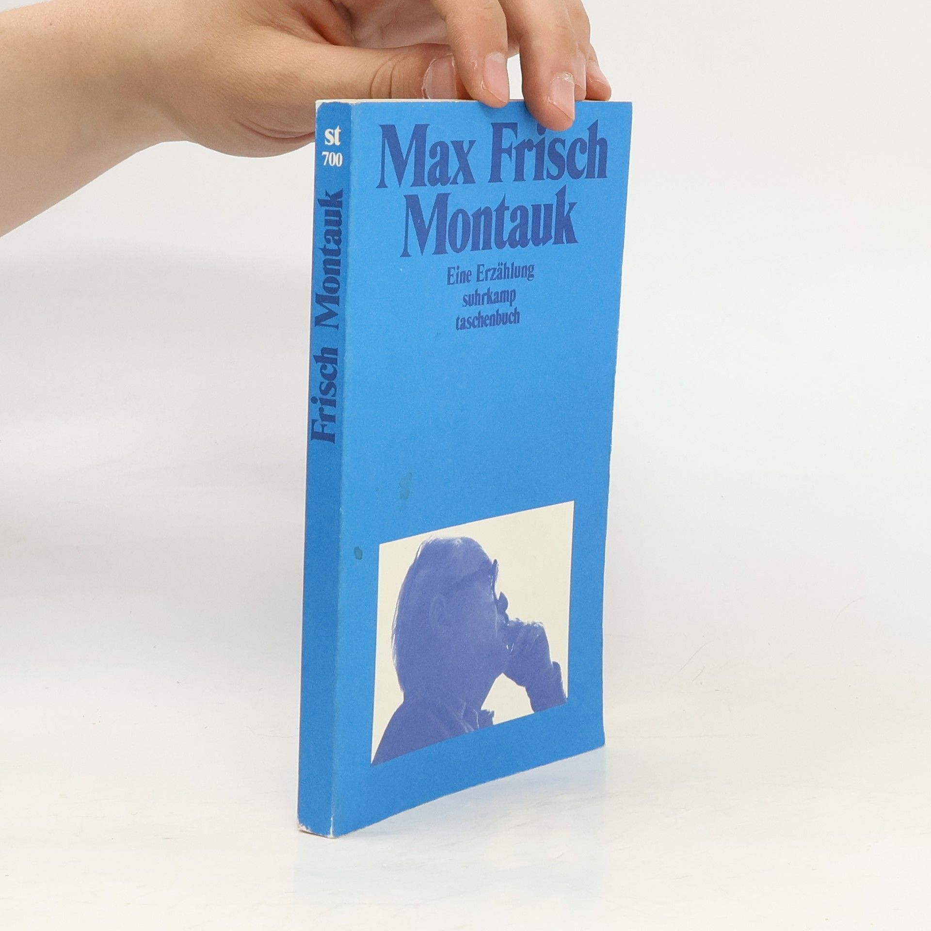 Max Frisch Montauk
