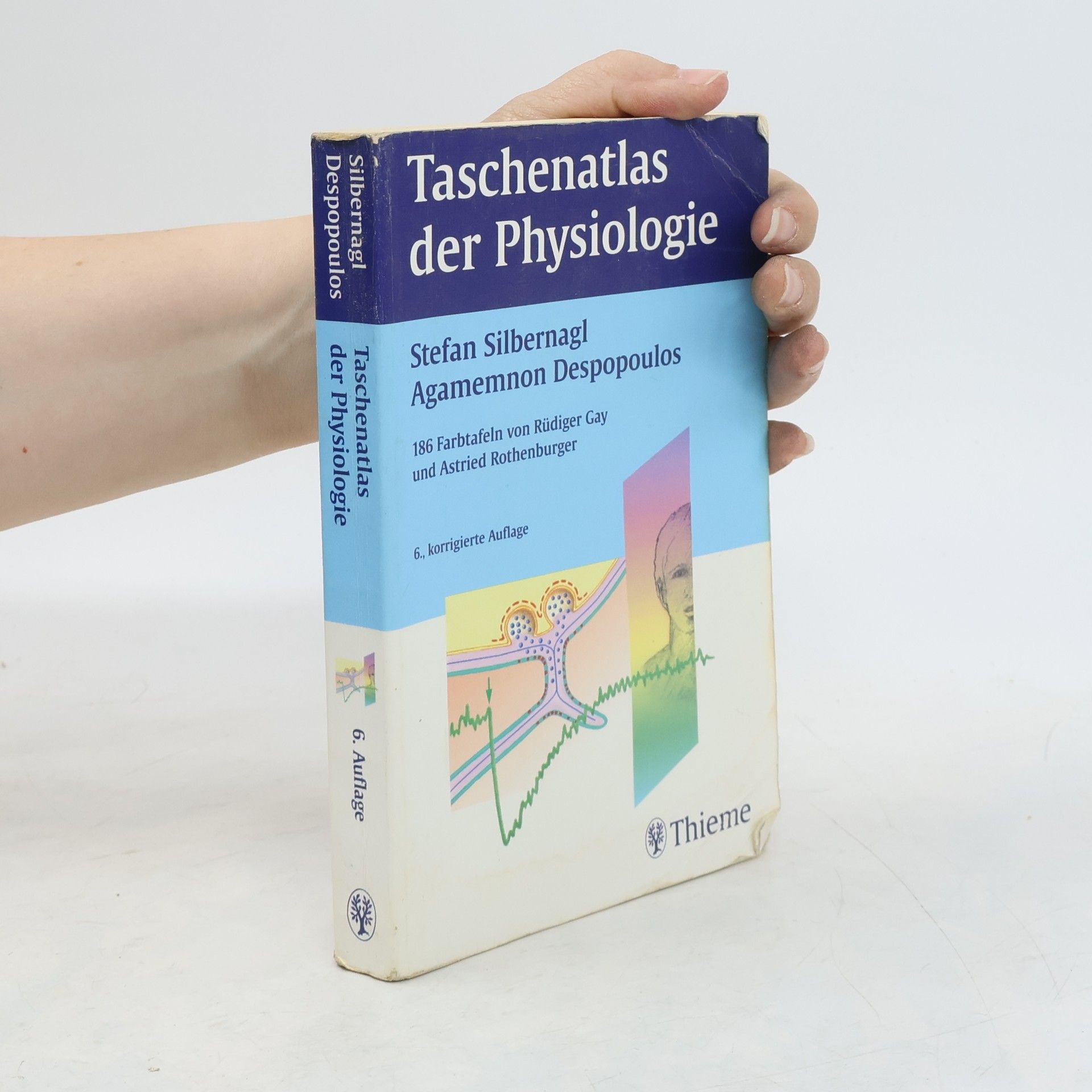 Stefan Silbernagl Taschenatlas der Physiologie