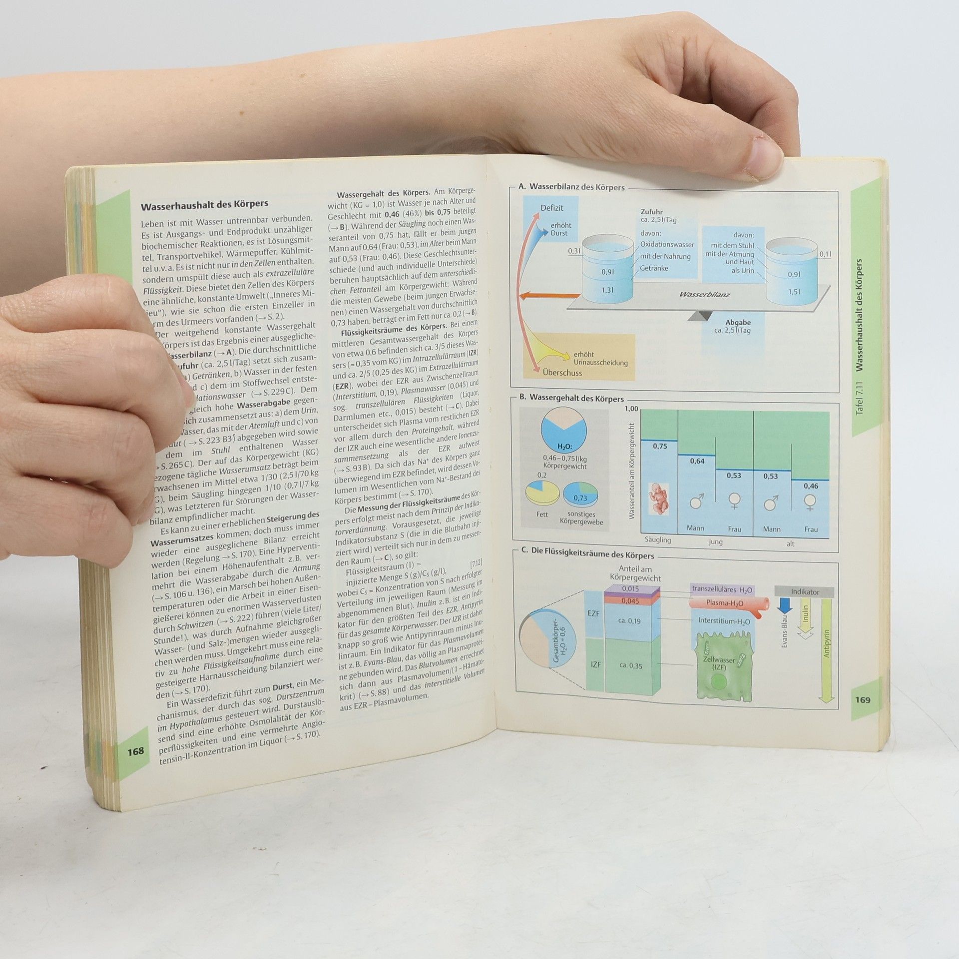 Stefan Silbernagl Taschenatlas der Physiologie