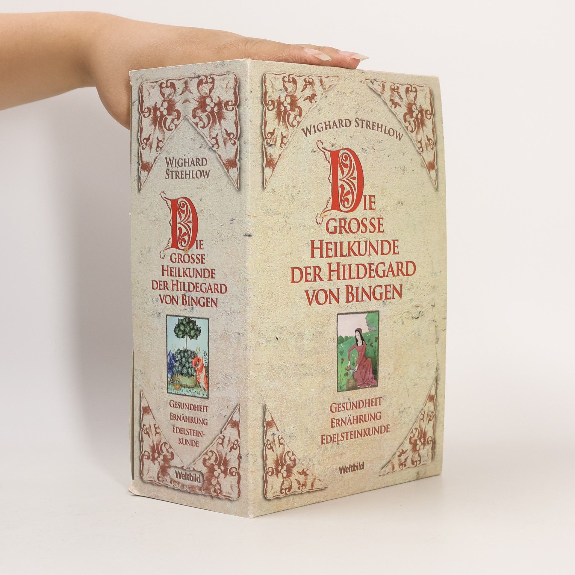 Wighard Strehlow Die Grosse Heilkunde Der Hildegard von Bingen