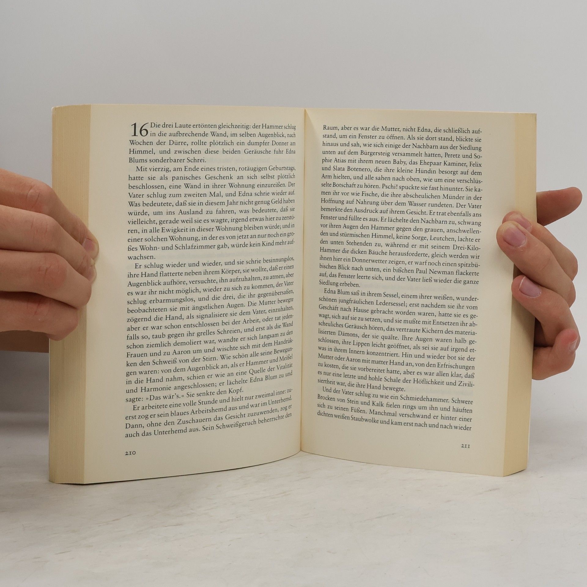 David Grossman Der Kindheitserfinder