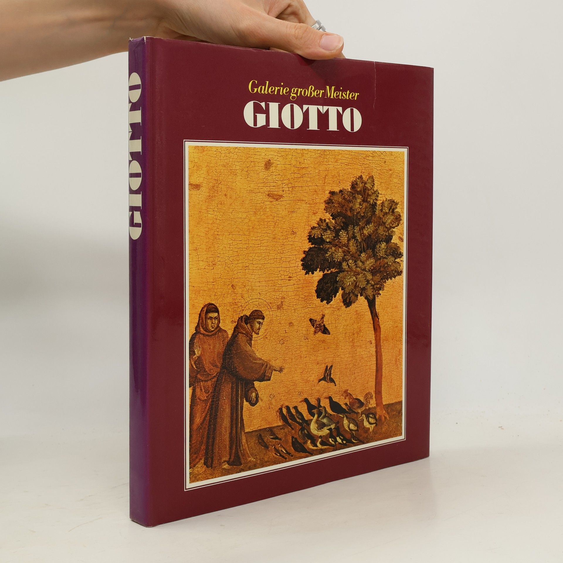 Auteurscollectief Galerie großer Meister. Giotto