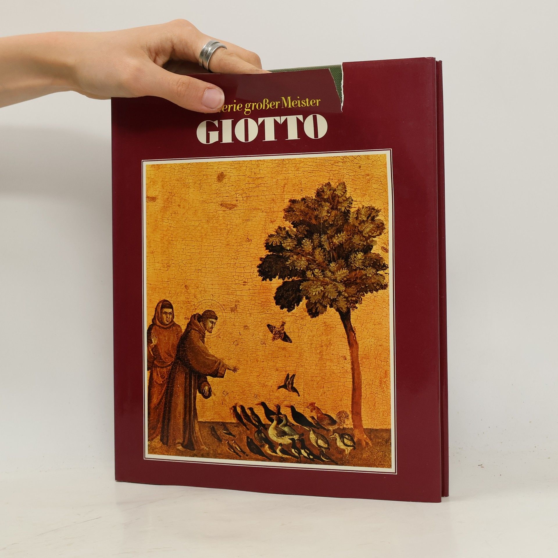 Auteurscollectief Galerie großer Meister. Giotto