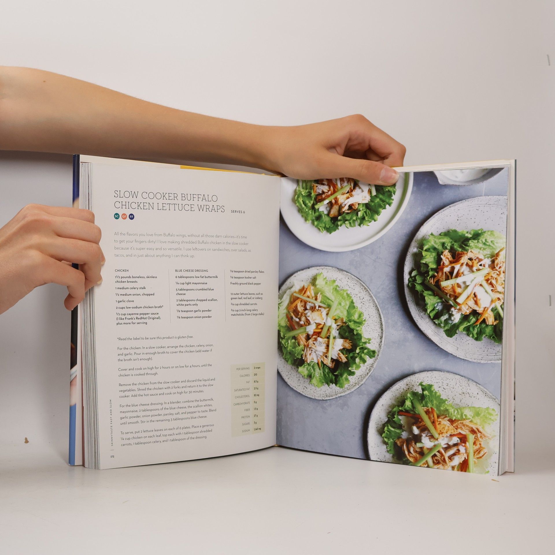 Gina Homolka Skinnytaste Fast and Slow: Knockout Quick-Fix and Slow Cooker Recipes: A Cookbook