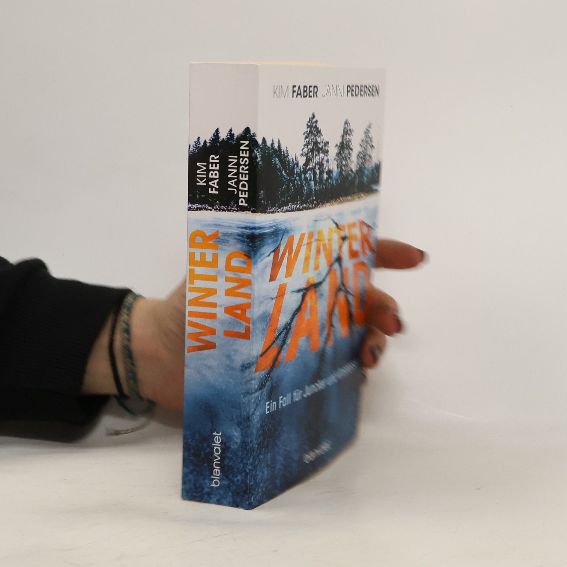 Kim Faber Winterland