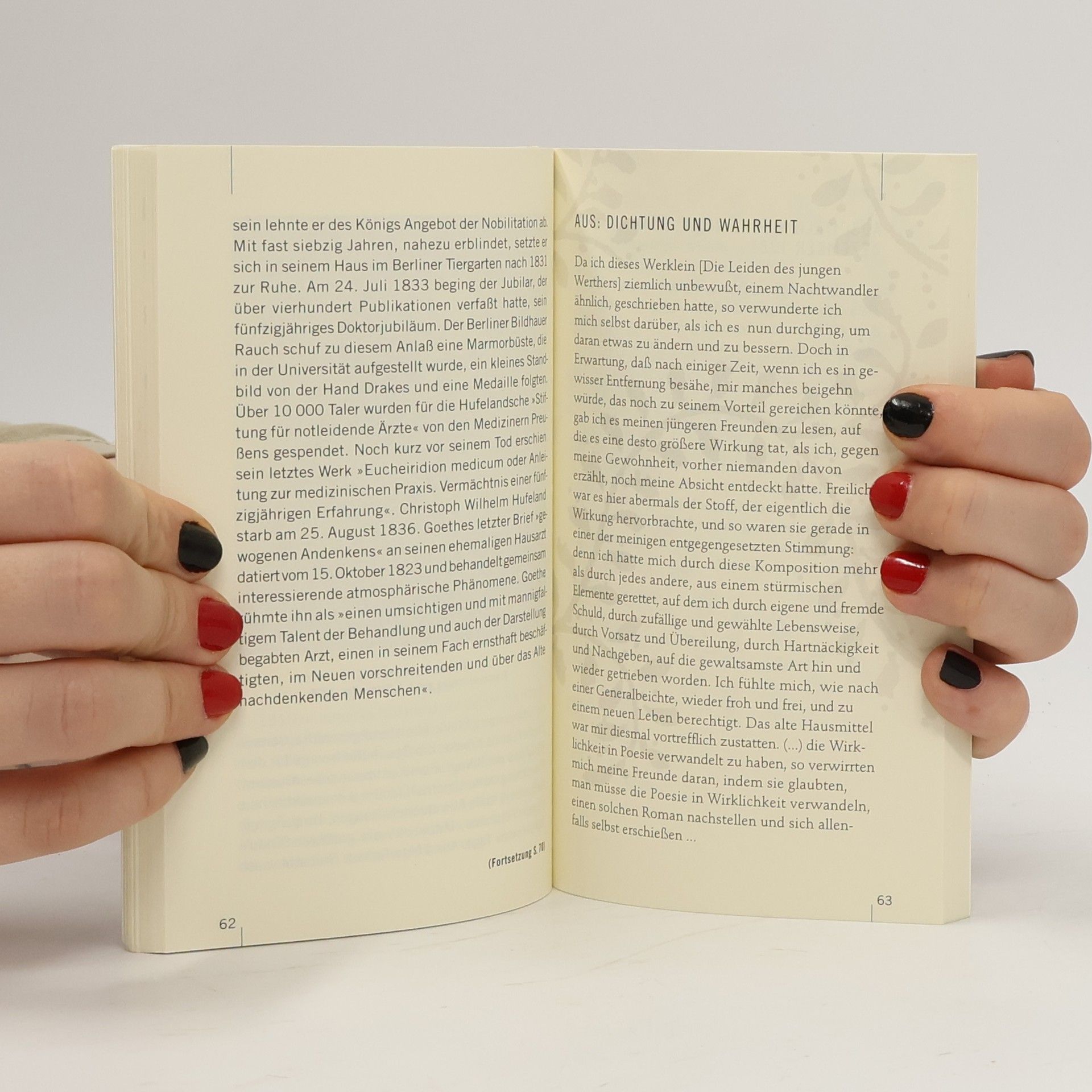 Autorenkollektiv Mit Goethe durch das Jahr 2012