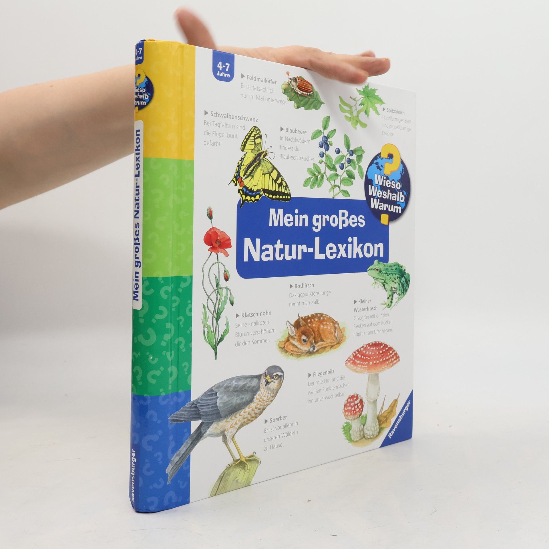 Sandra Noa Mein großes Natur-Lexikon