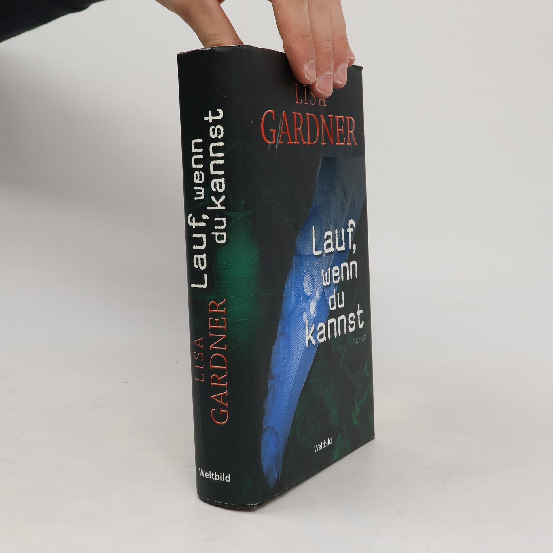 Lisa Gardner Lauf, wenn du kannst