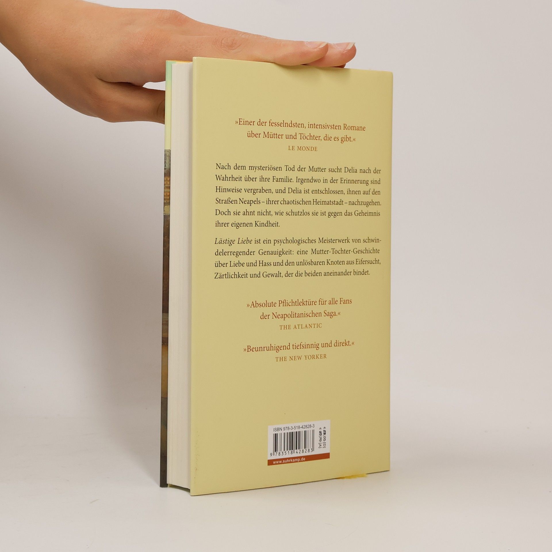 Elena Ferrante Lästige Liebe