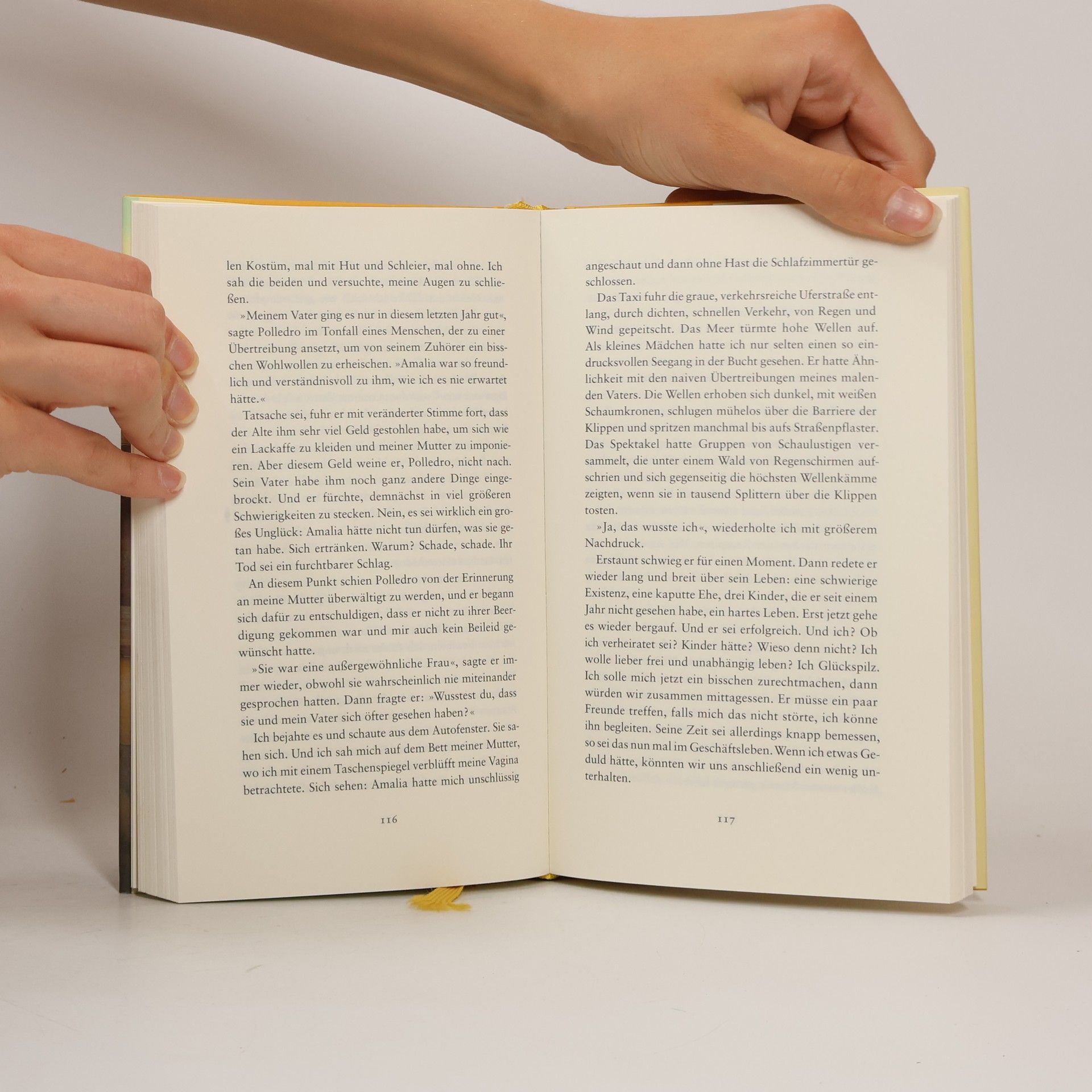 Elena Ferrante Lästige Liebe