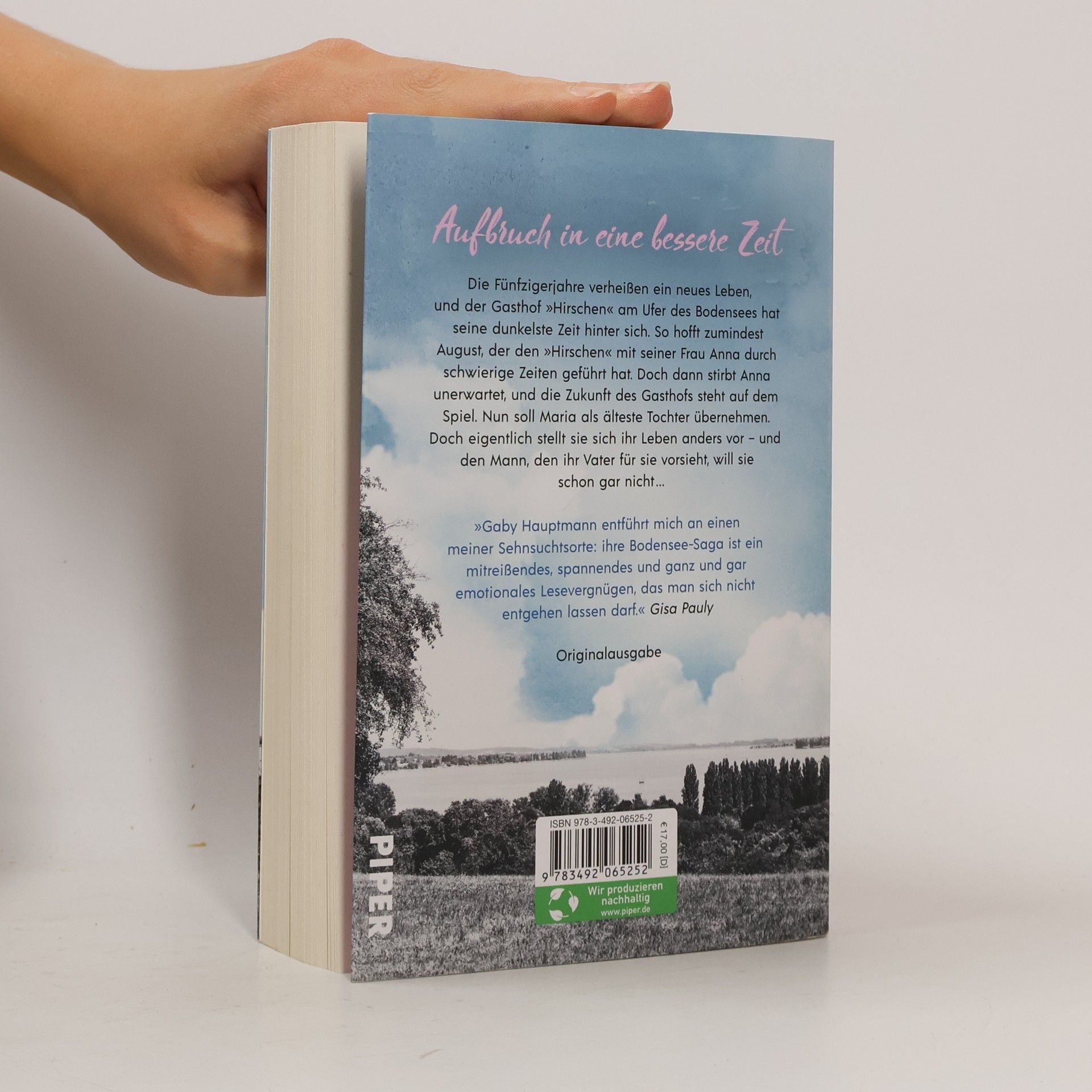 Gaby Hauptmann Traum vom besseren Leben / Die Frauen vom See Bd.2